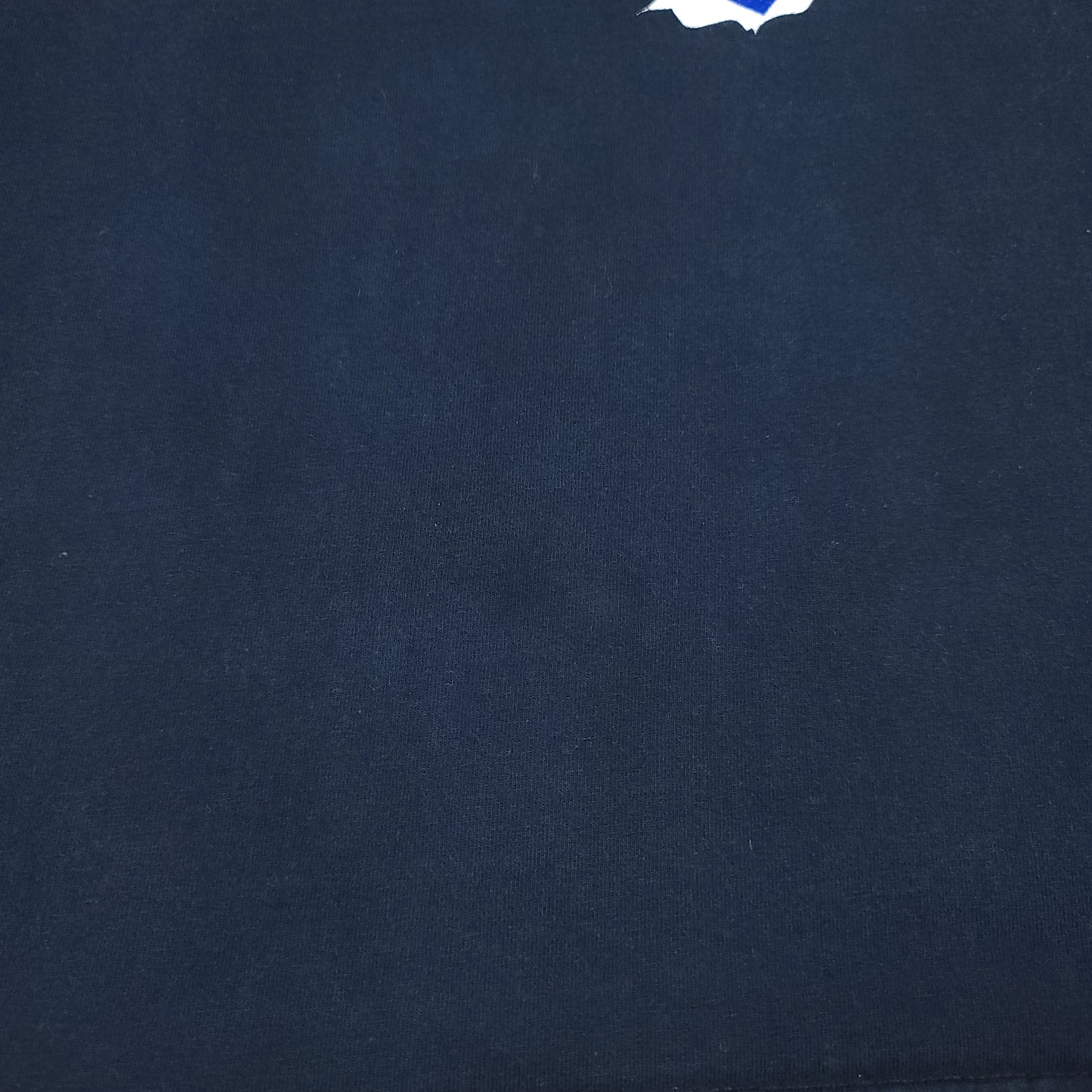 Vintage Smartest Cub Fan I Know Cut Off Shirt