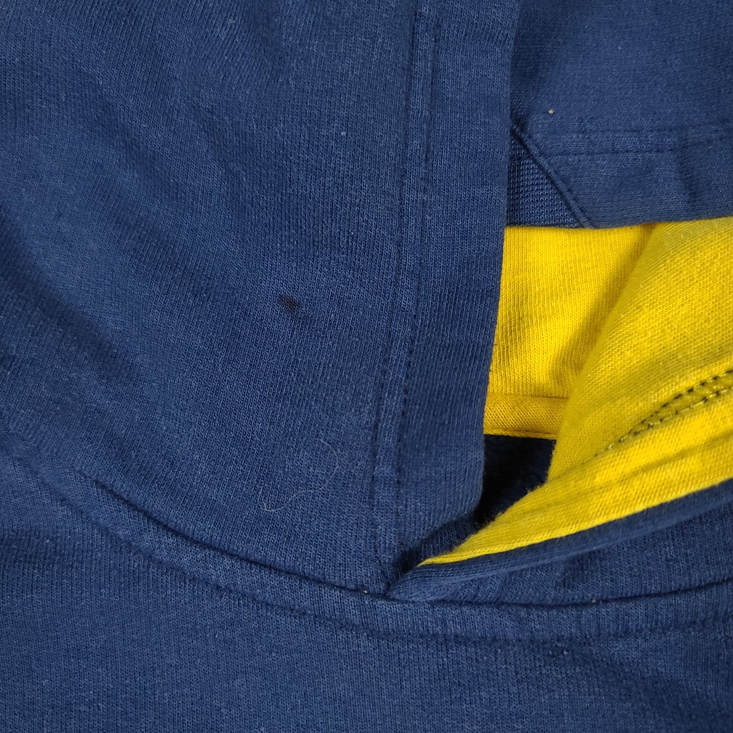 Vintage University of Michigan Hoodie Nike Youth