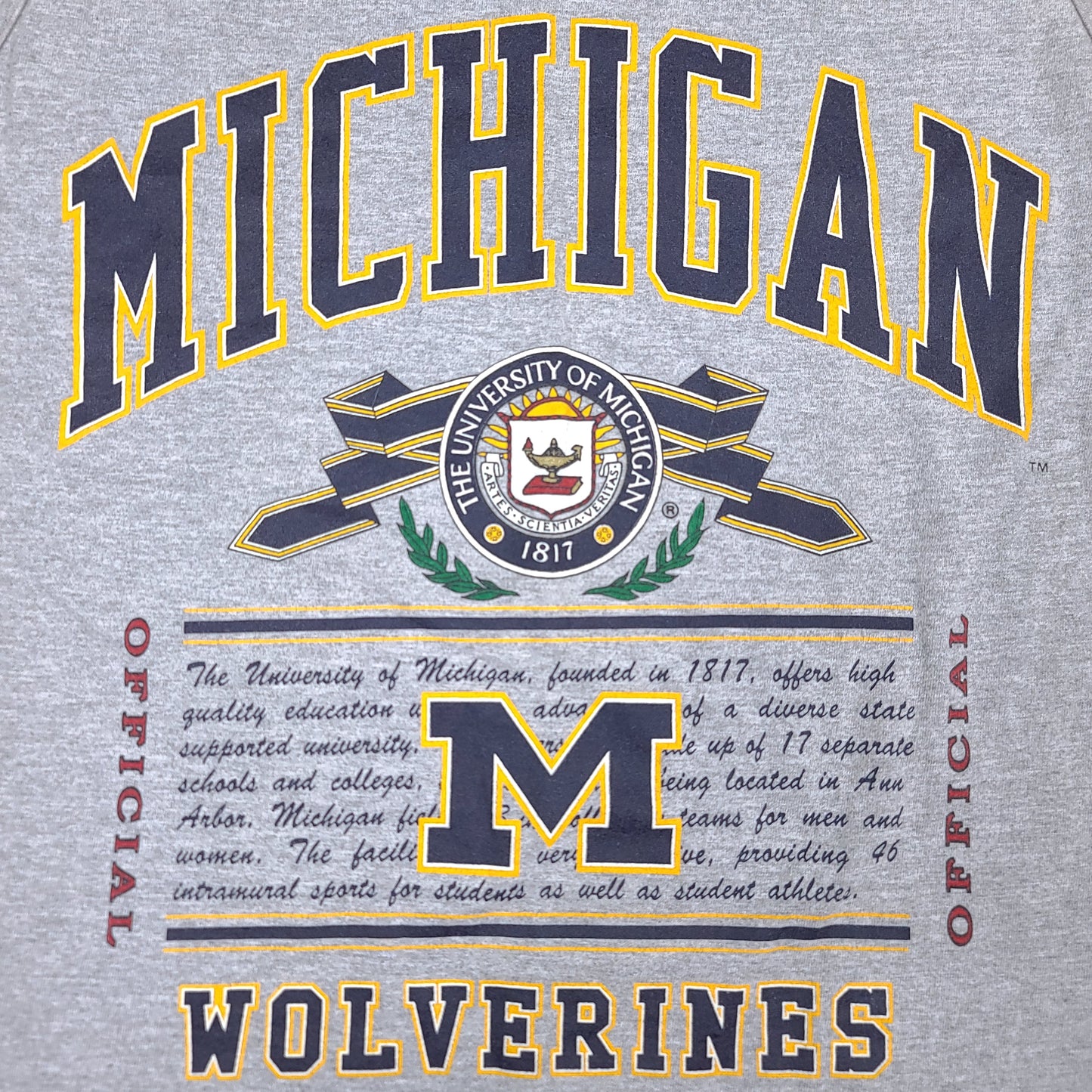 Vintage University of Michigan Tank Top Gray & Blue