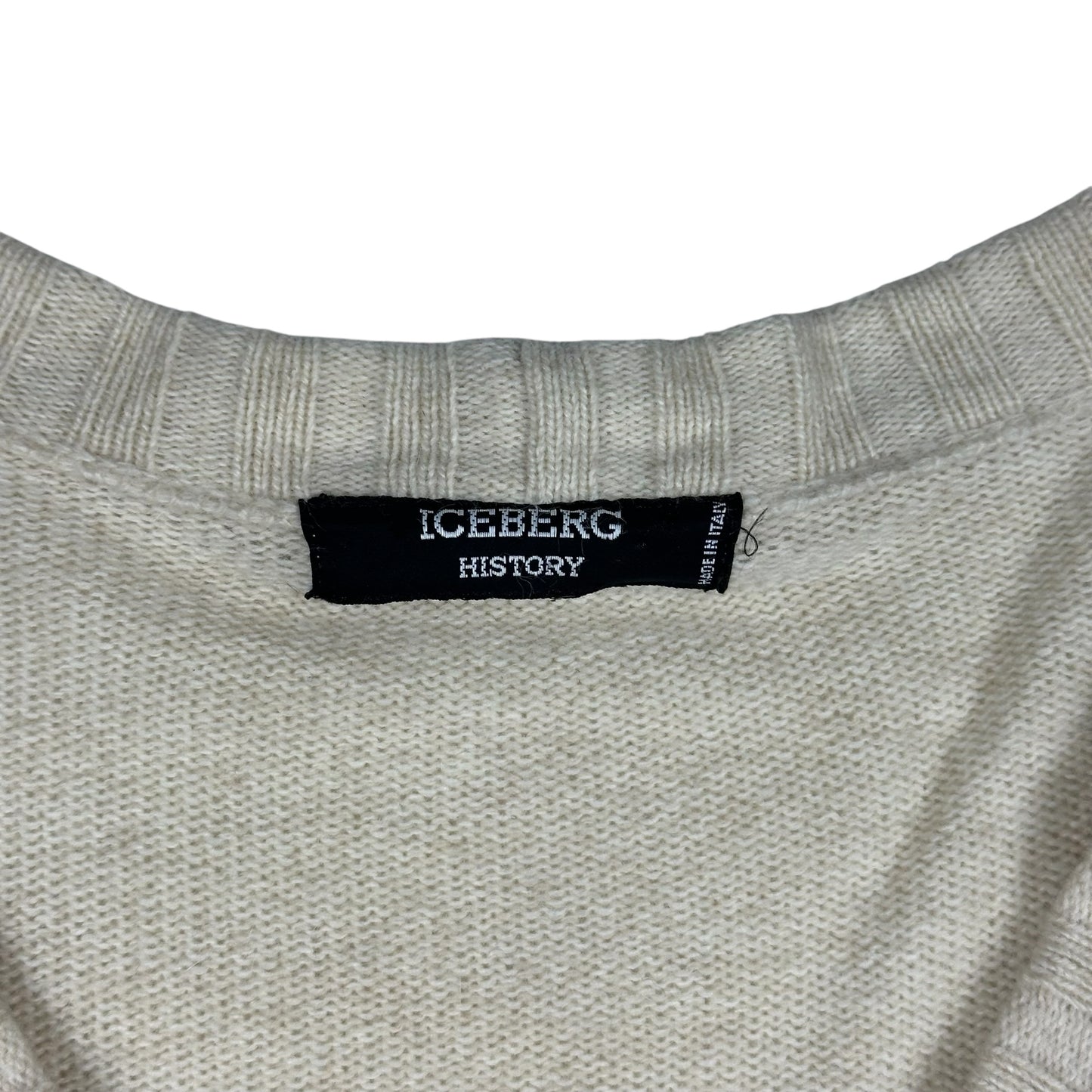 Goofy Vintage Iceberg History Cardigan