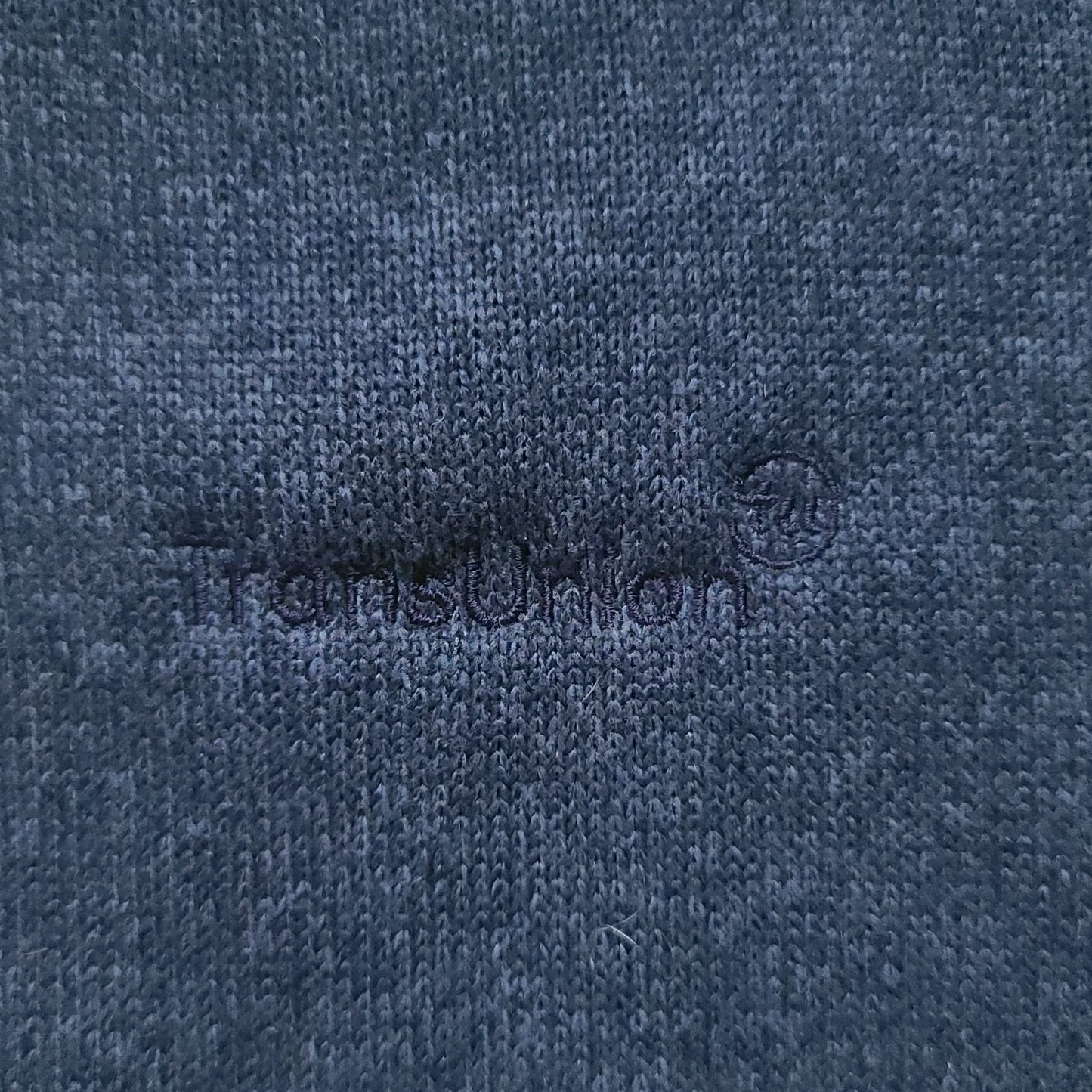 Patagonia Blue Fleece Vest