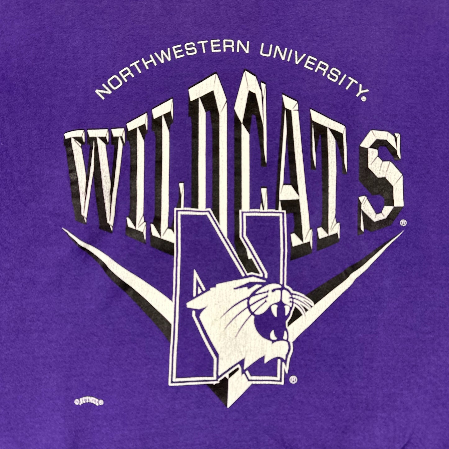 Vintage Northwestern University Sweatshirt Lee Wildcats