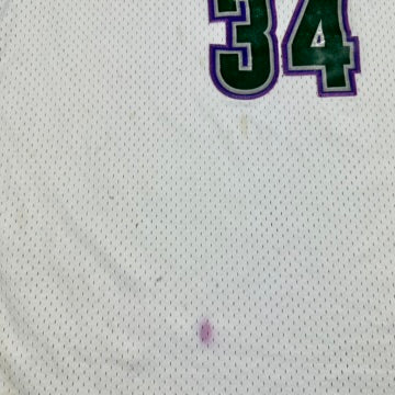 Ray Allen Vintage Milwaukee Bucks Jersey Nike