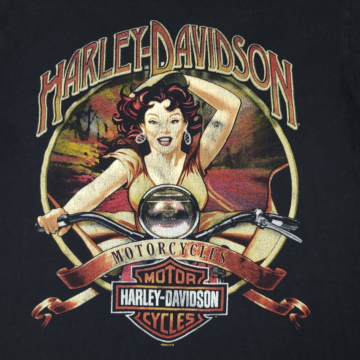 Harley Davidson 2014 Texas Proud Tee