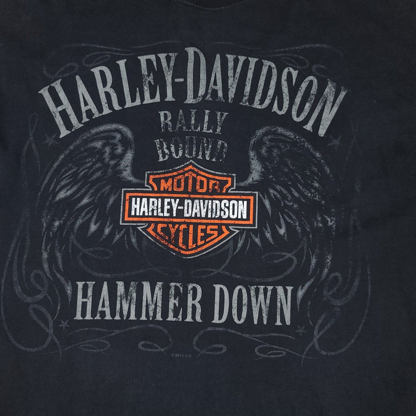 Harley Davidson Beartooth Hammer Down Tee