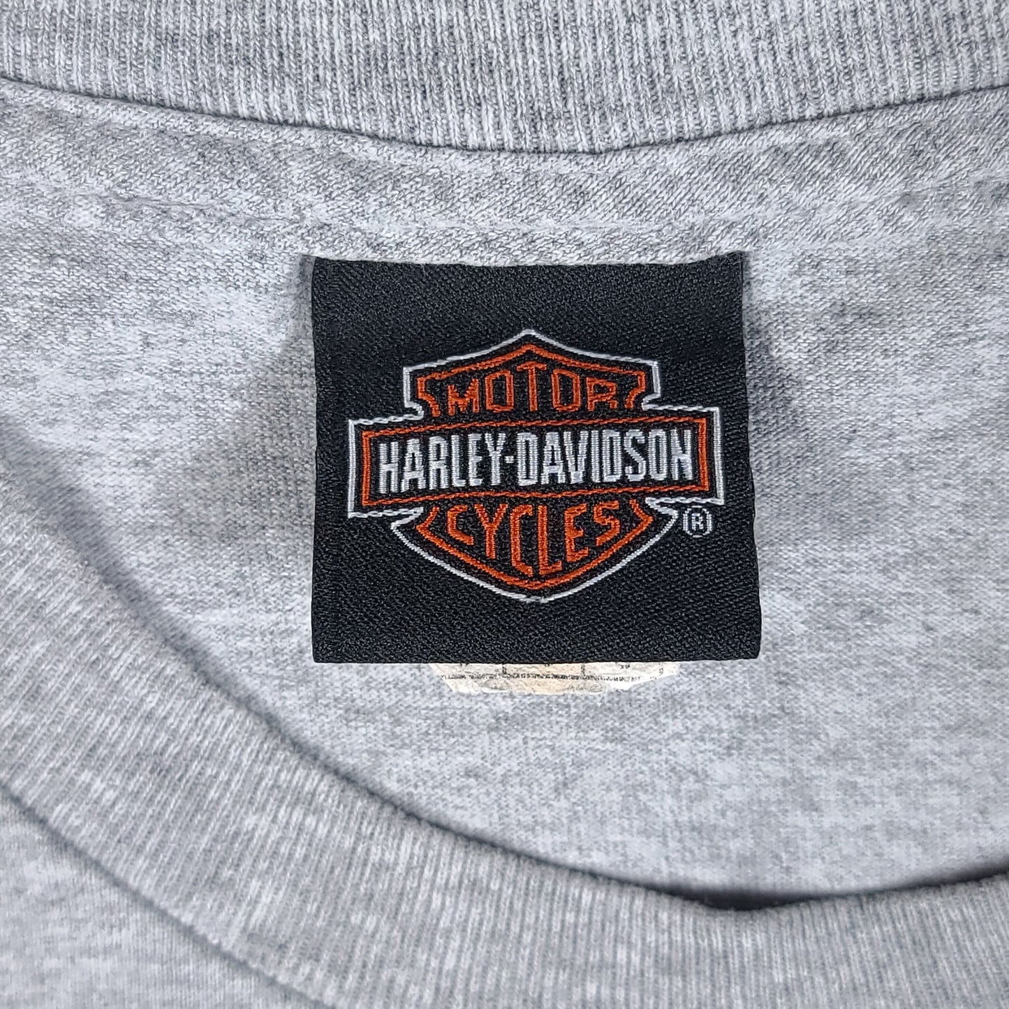 Harley Davidson 110 Years Gray Tee