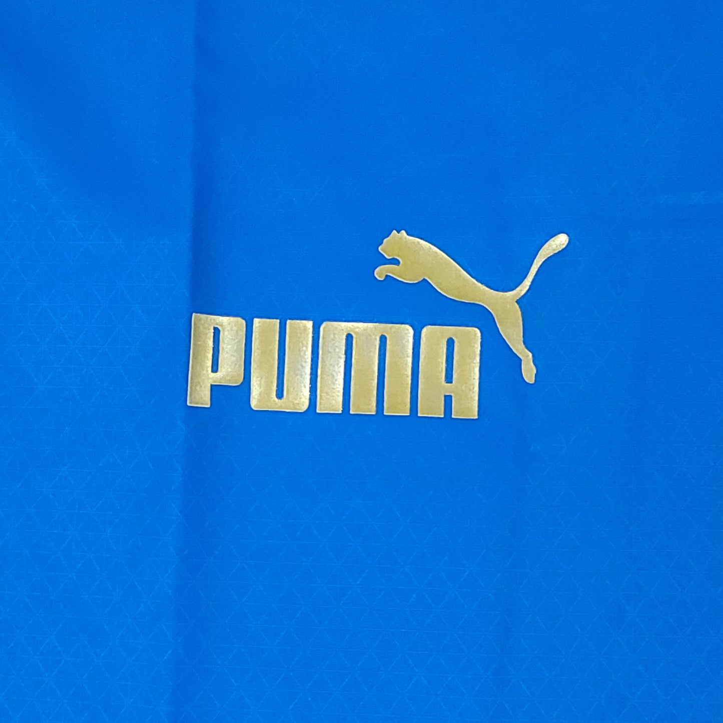 Italy Italia Puma Blue Dry Cell Soccer Jersey