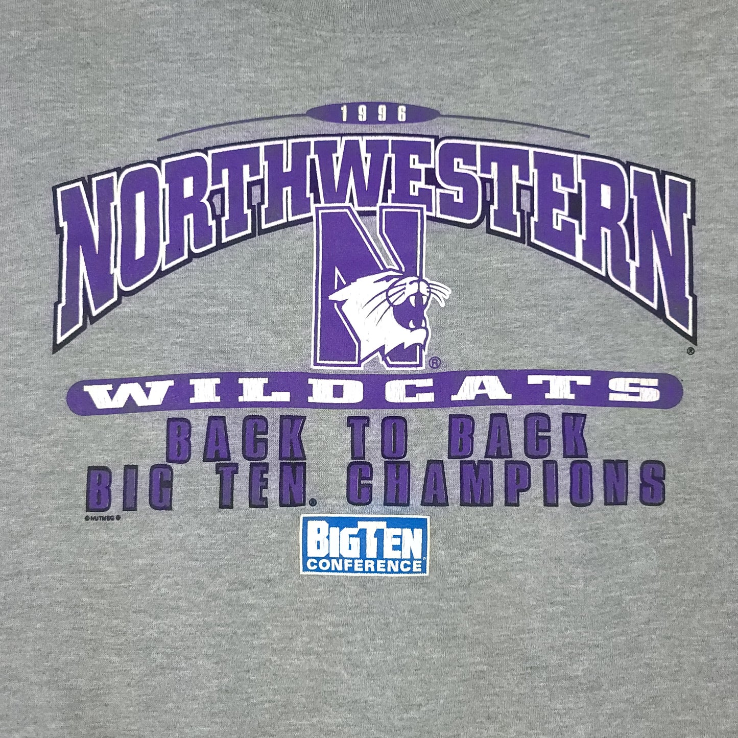 Vintage Northwestern University Wildcats 1996 Gray Lee Sport Sweatshirt