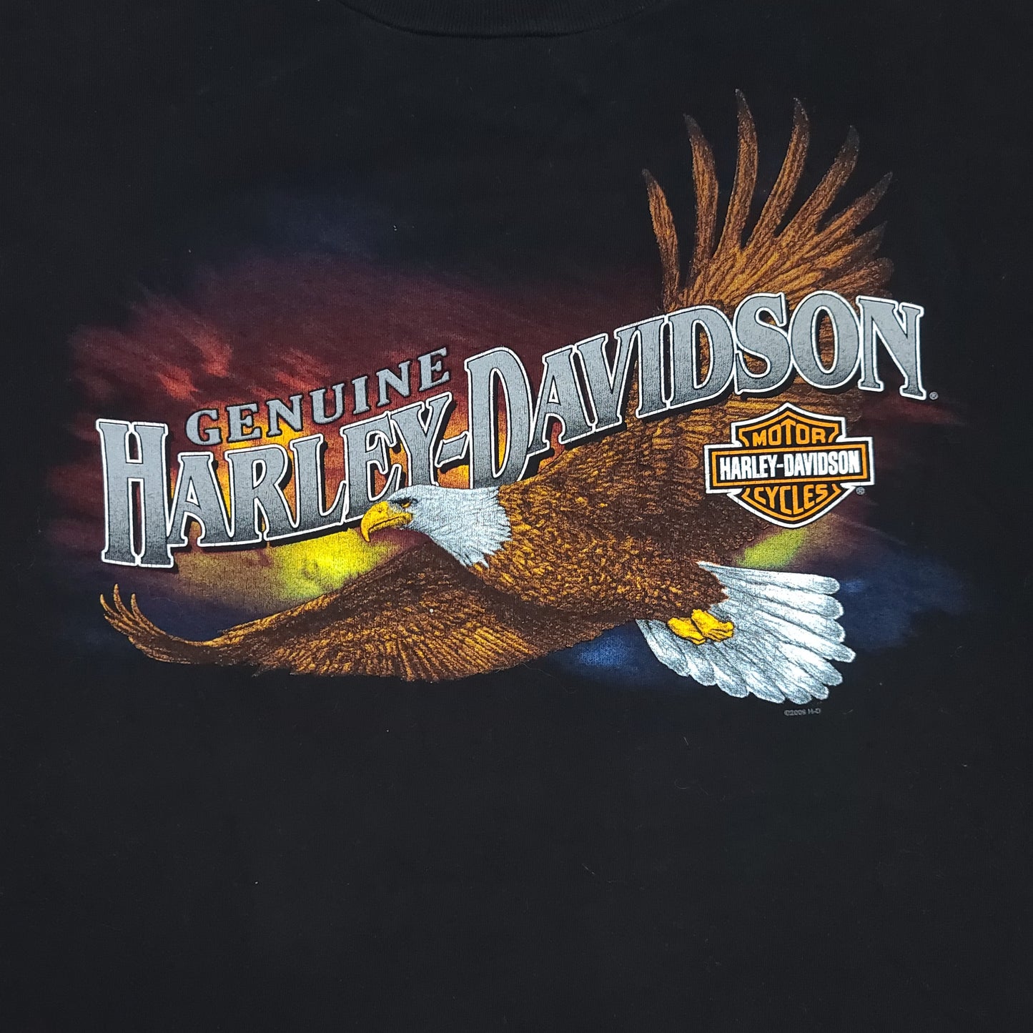 Genuine Harley Davidson Bald Eagle Nicaragua Tee