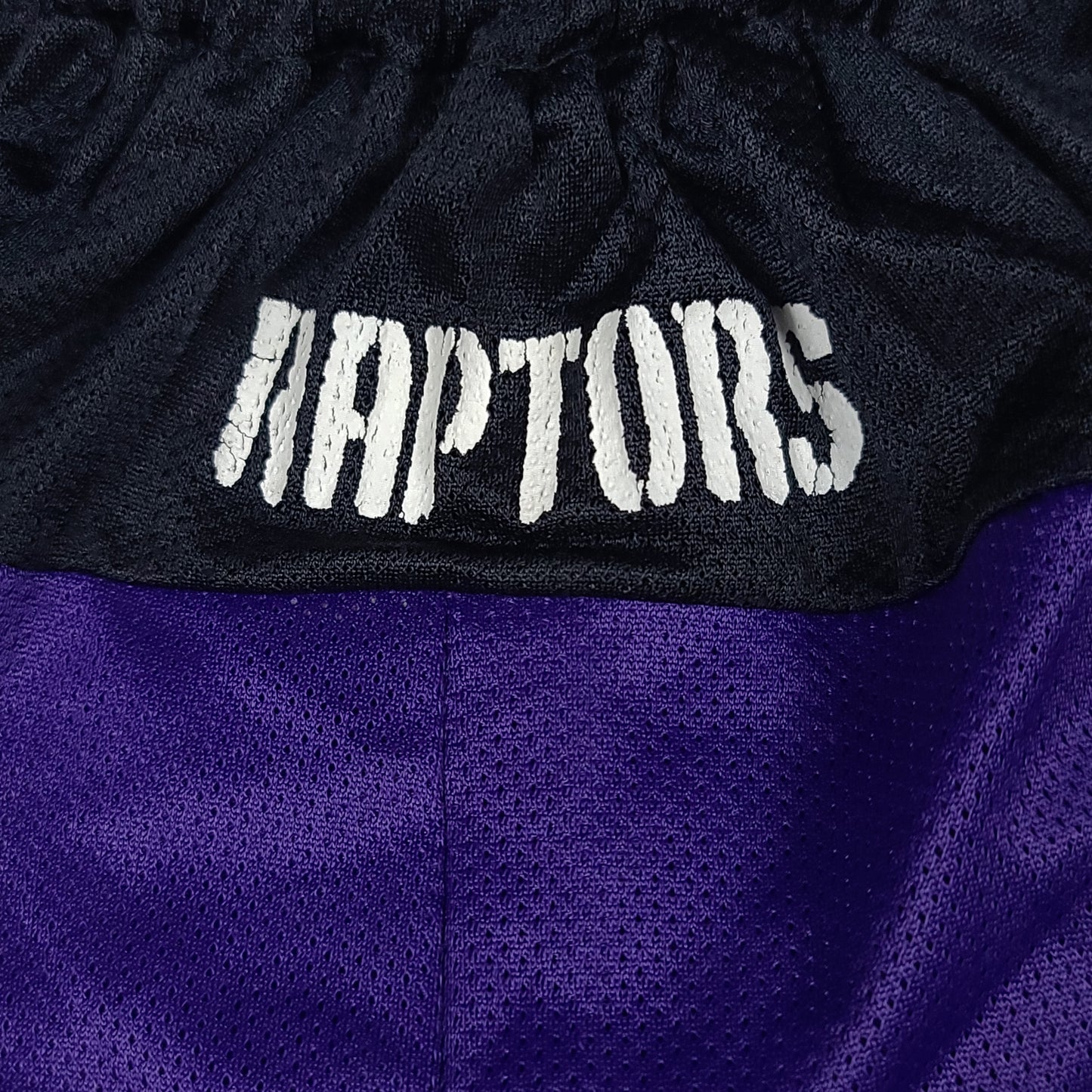 Vintage Toronto Raptors Champion Basketball Shorts