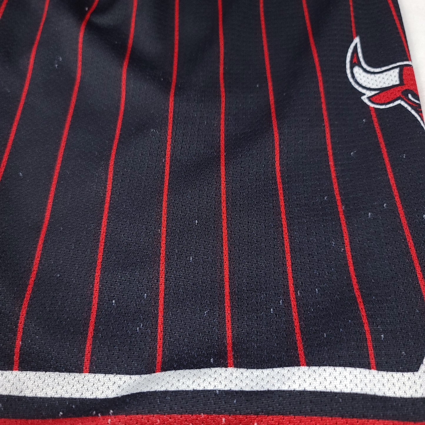 Vintage Chicago Bulls Pinstripe Champion Basketball Shorts