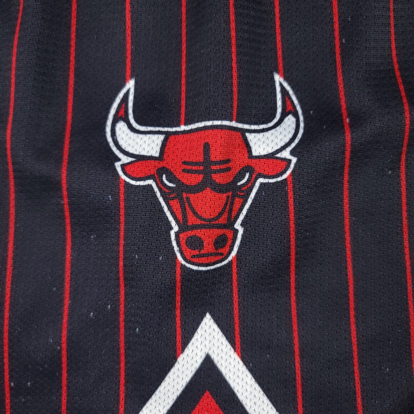 Vintage Chicago Bulls Pinstripe Champion Basketball Shorts