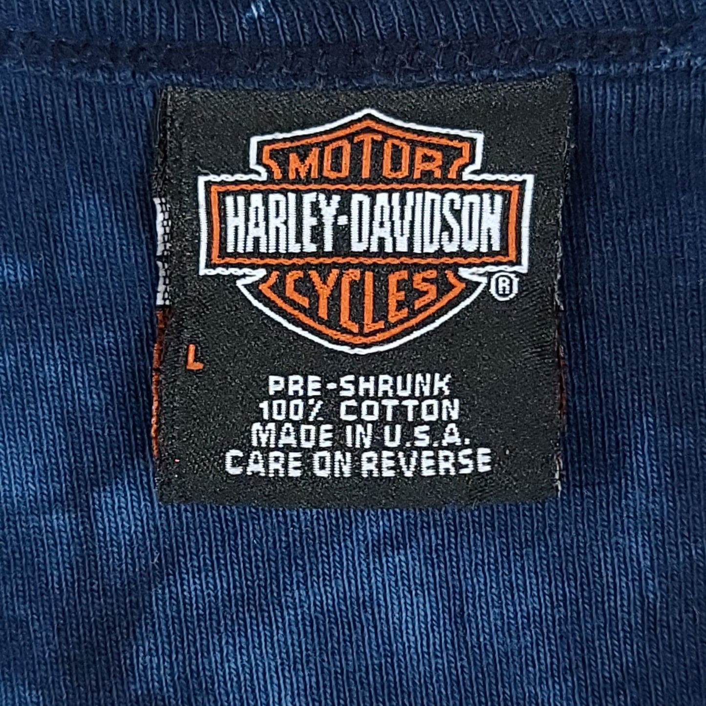 Vintage Harley Davidson 2001 Blue Tie-Dye V-Neck Raglan Tee