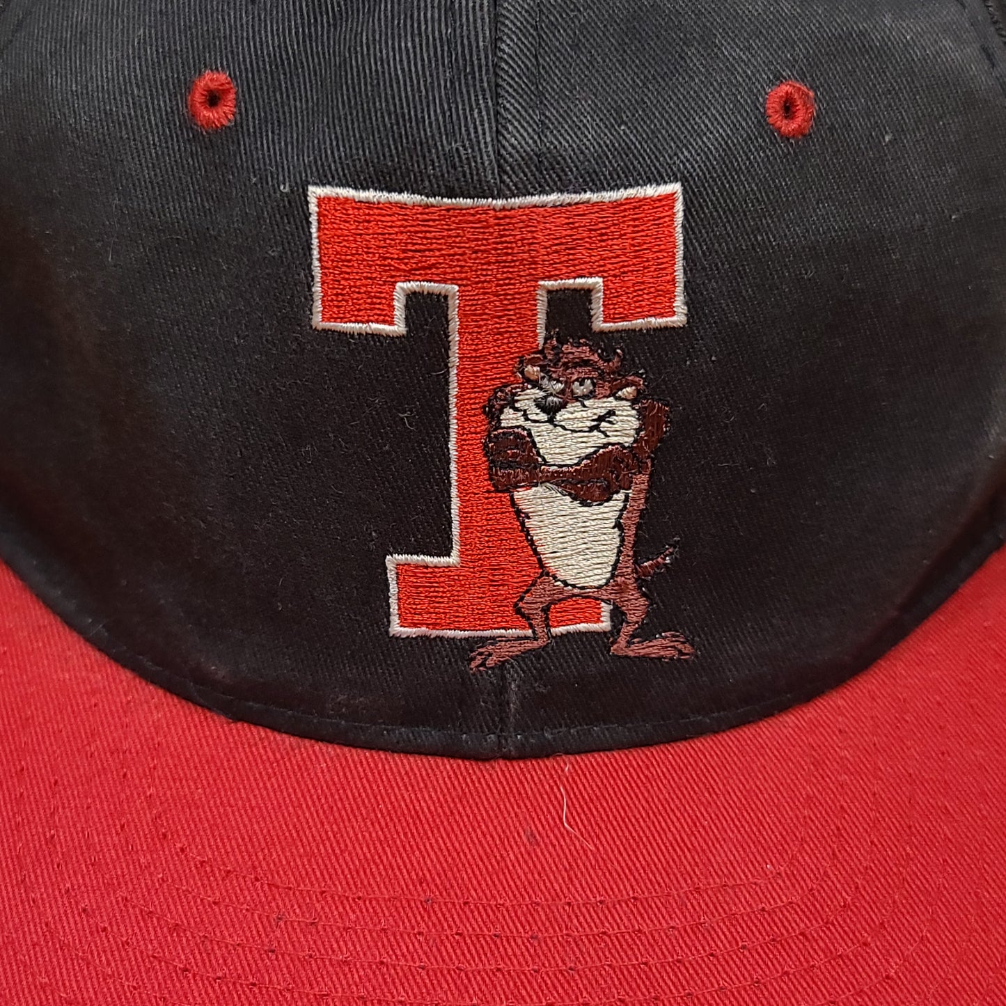 Vintage Tasmanian Devil Looney Tunes Snap Back Hat