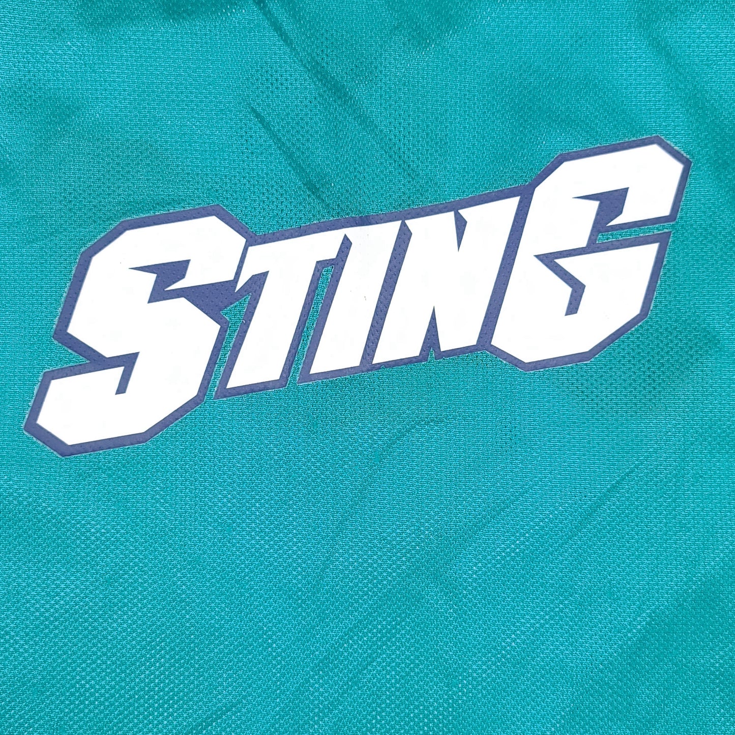 Vintage Charlotte Sting Jersey Reversible Practice