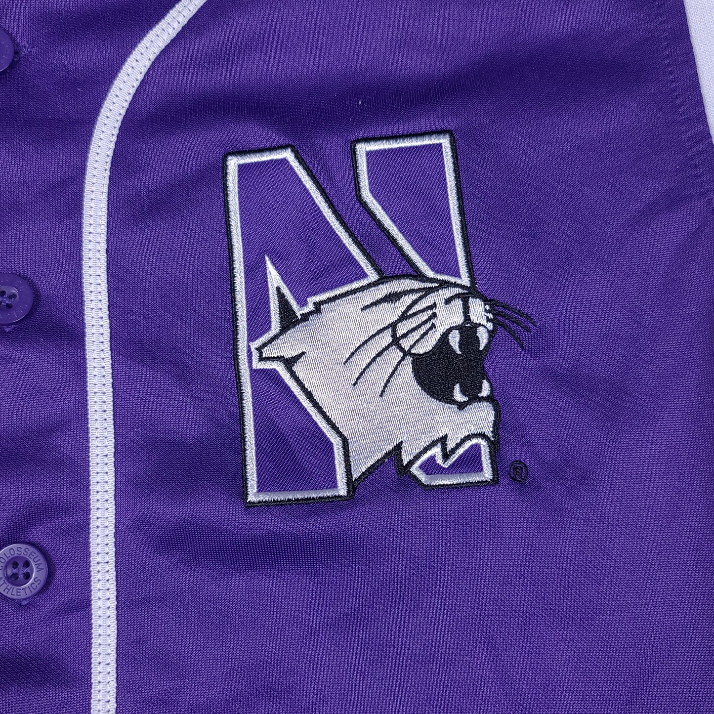 Northwestern University Purple Colosseum Athletics Youth Baseball Jersey