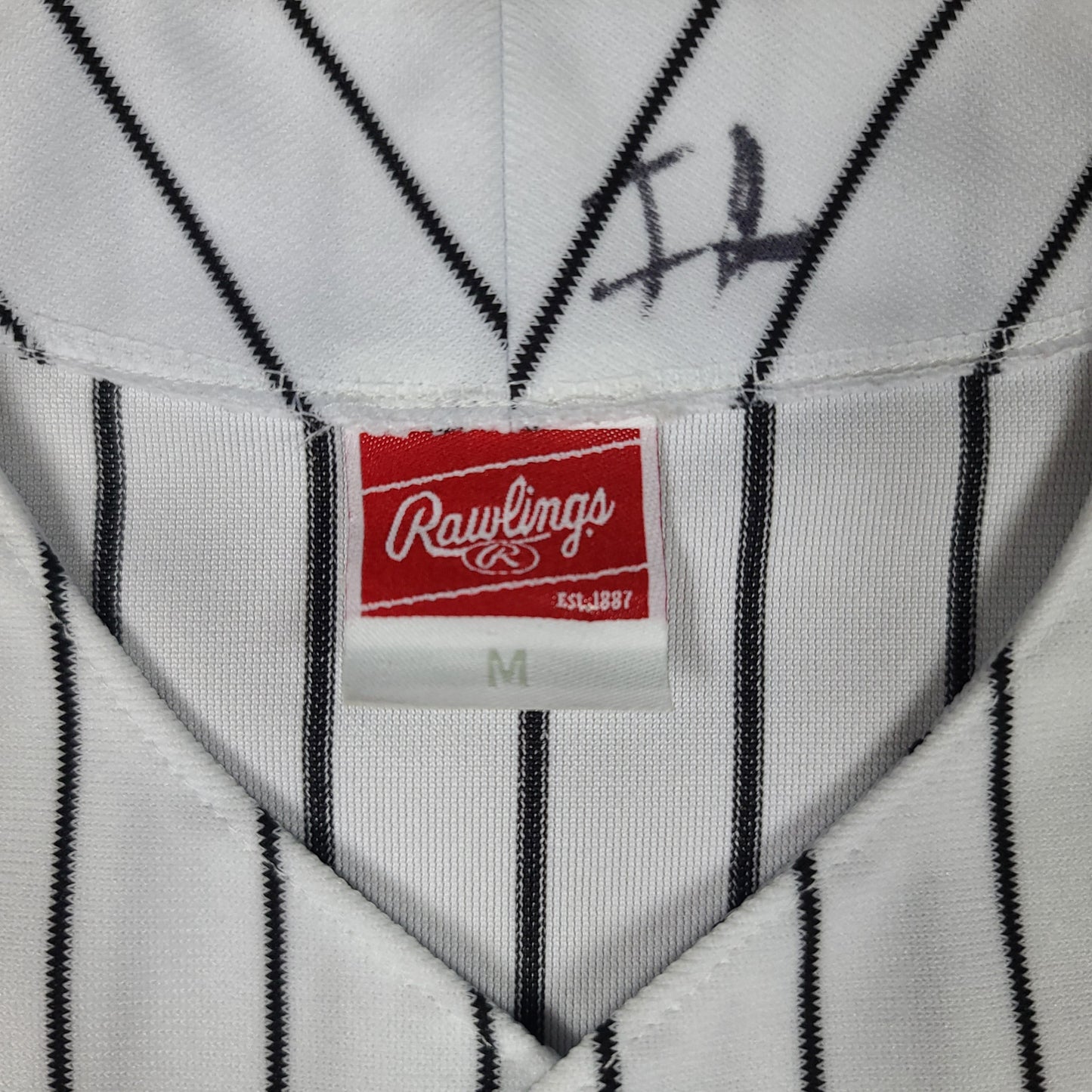 Chicago White Sox #31 Pinstripe Rawlings Jersey
