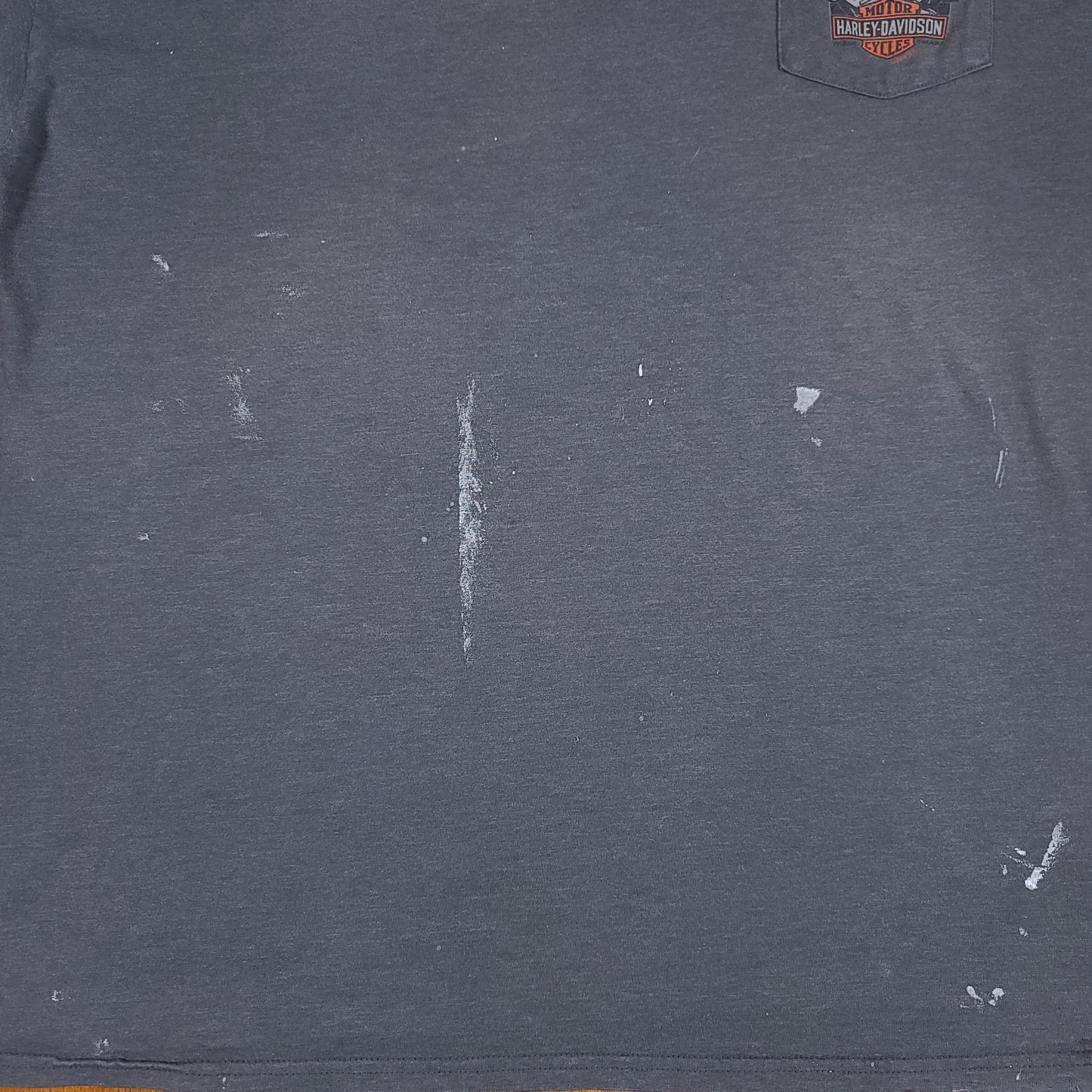 Harley Davidson Villa Park Gray Tee