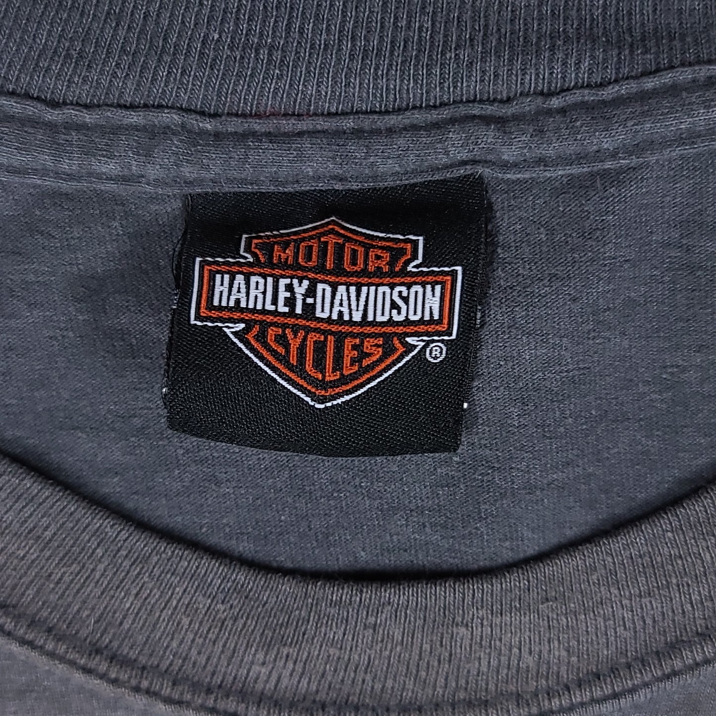 Harley Davidson Villa Park Gray Tee