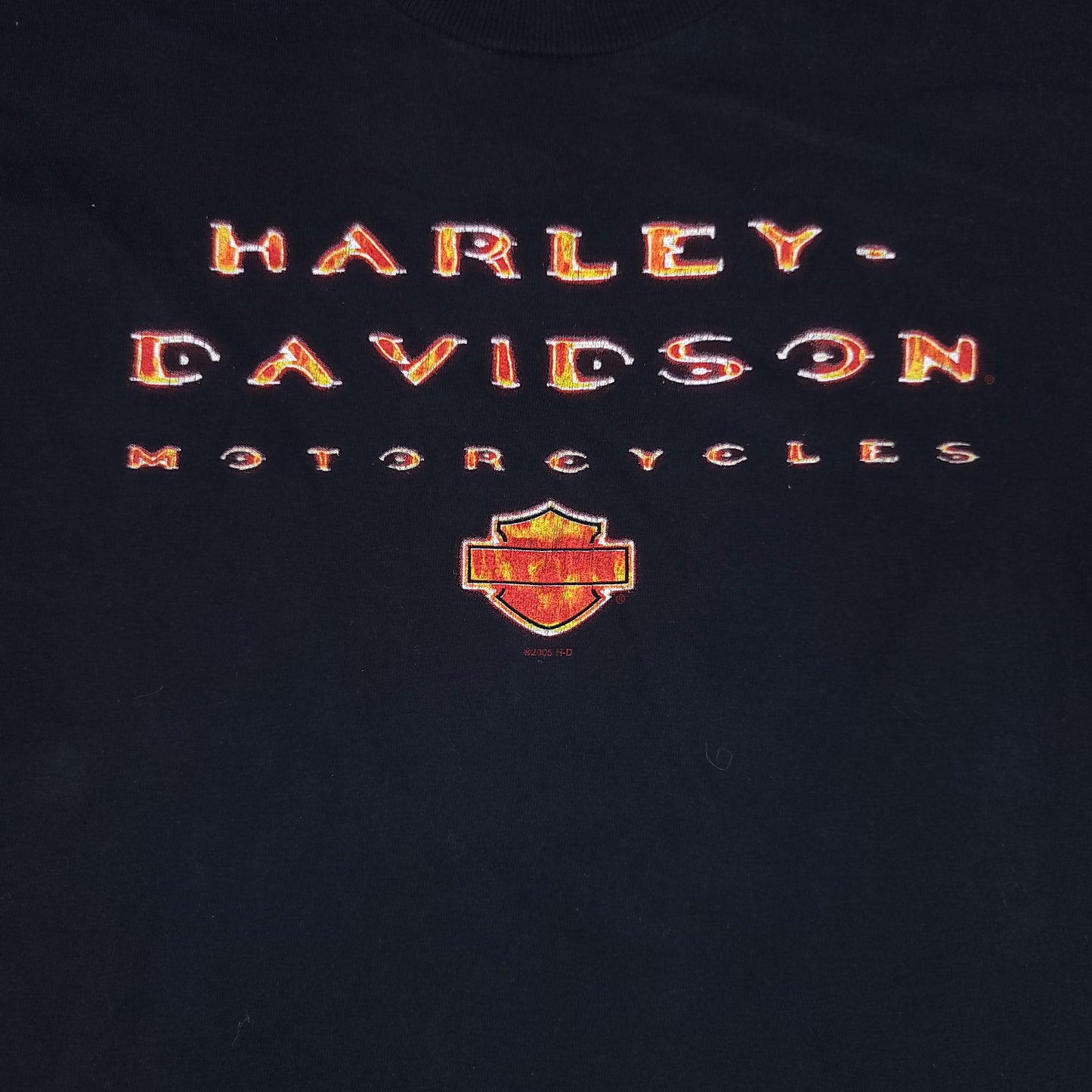 Harley Davidson Lakeville MN Black Tee