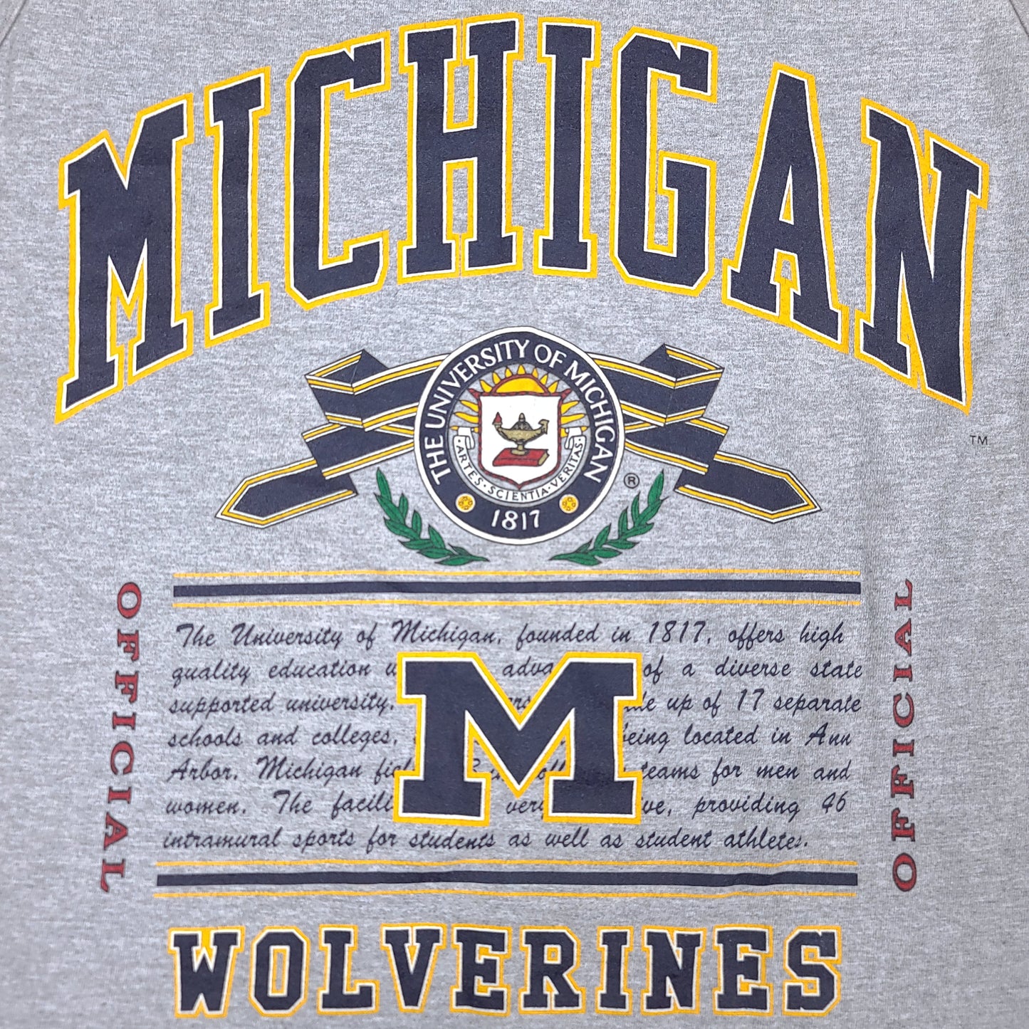 Vintage University of Michigan Wolverines Gray Blue Tank Top