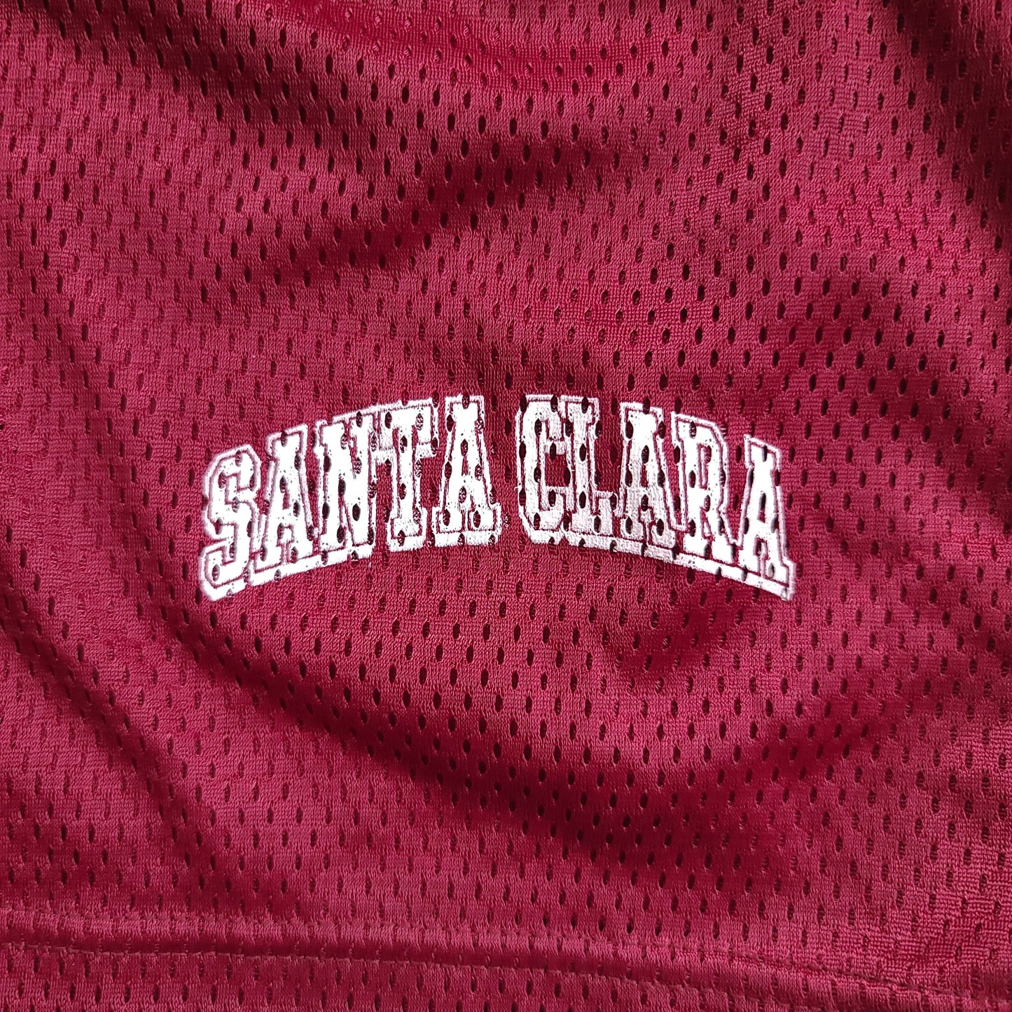 Vintage Santa Cruz Maroon Mesh Athletic Shorts