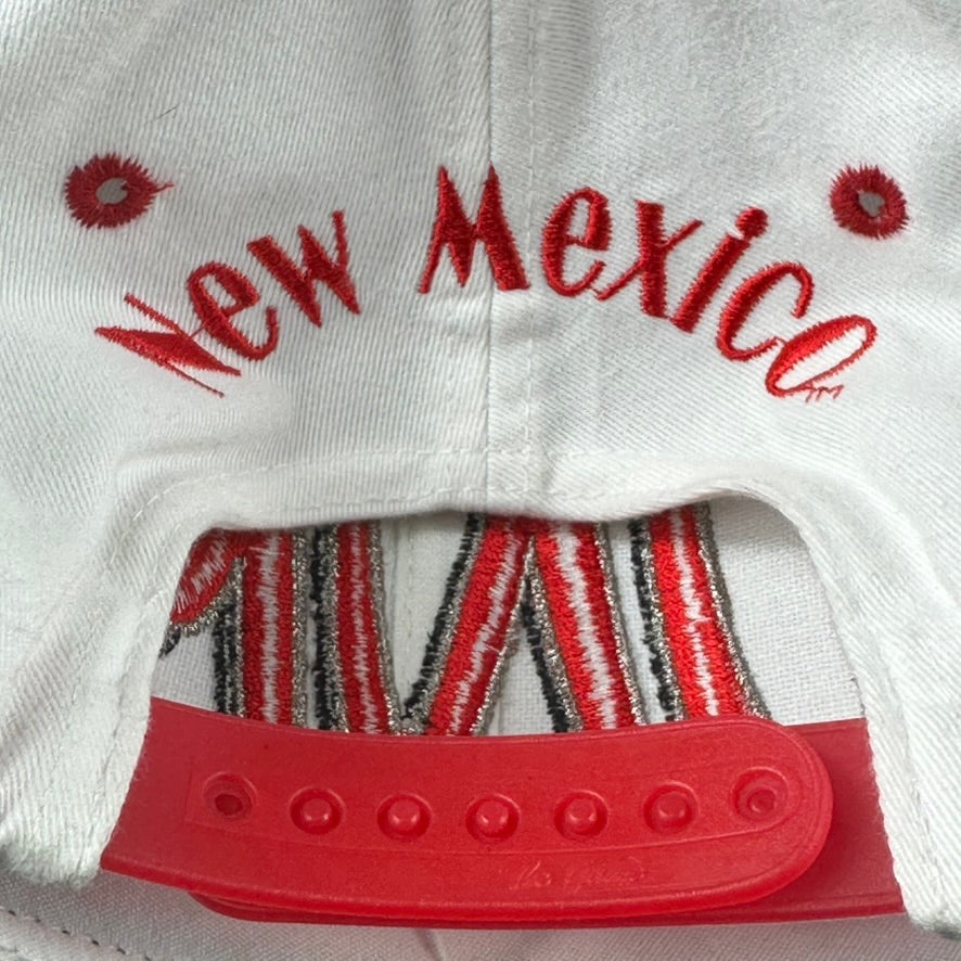 Vintage University of New Mexico Hat The Game Snapback