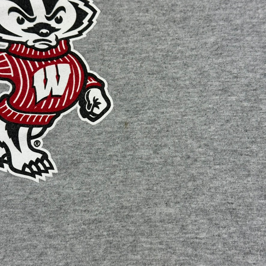 Vintage University of Wisconsin Shirt Badgers Gray