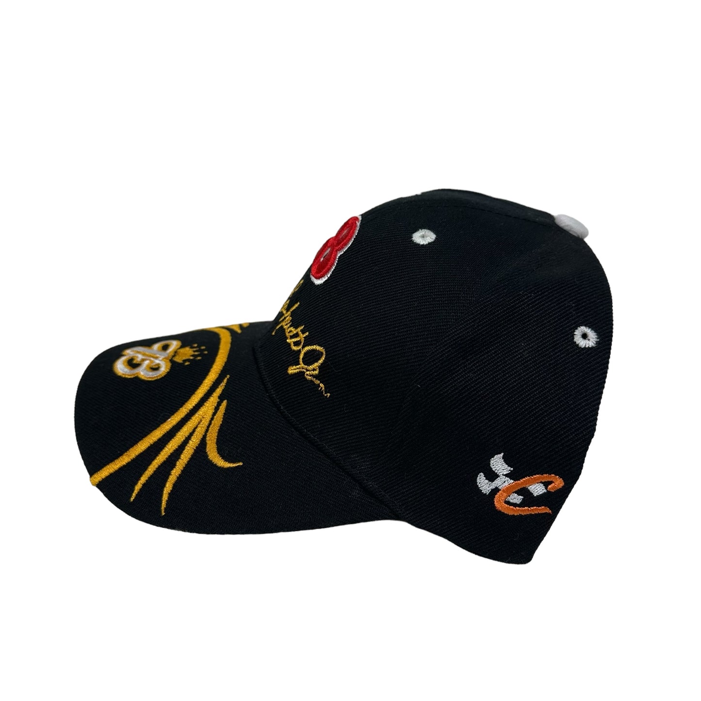 Vitnage Dale Earnhardt Jr. Black Hook & Loop Hat (New with Tags)