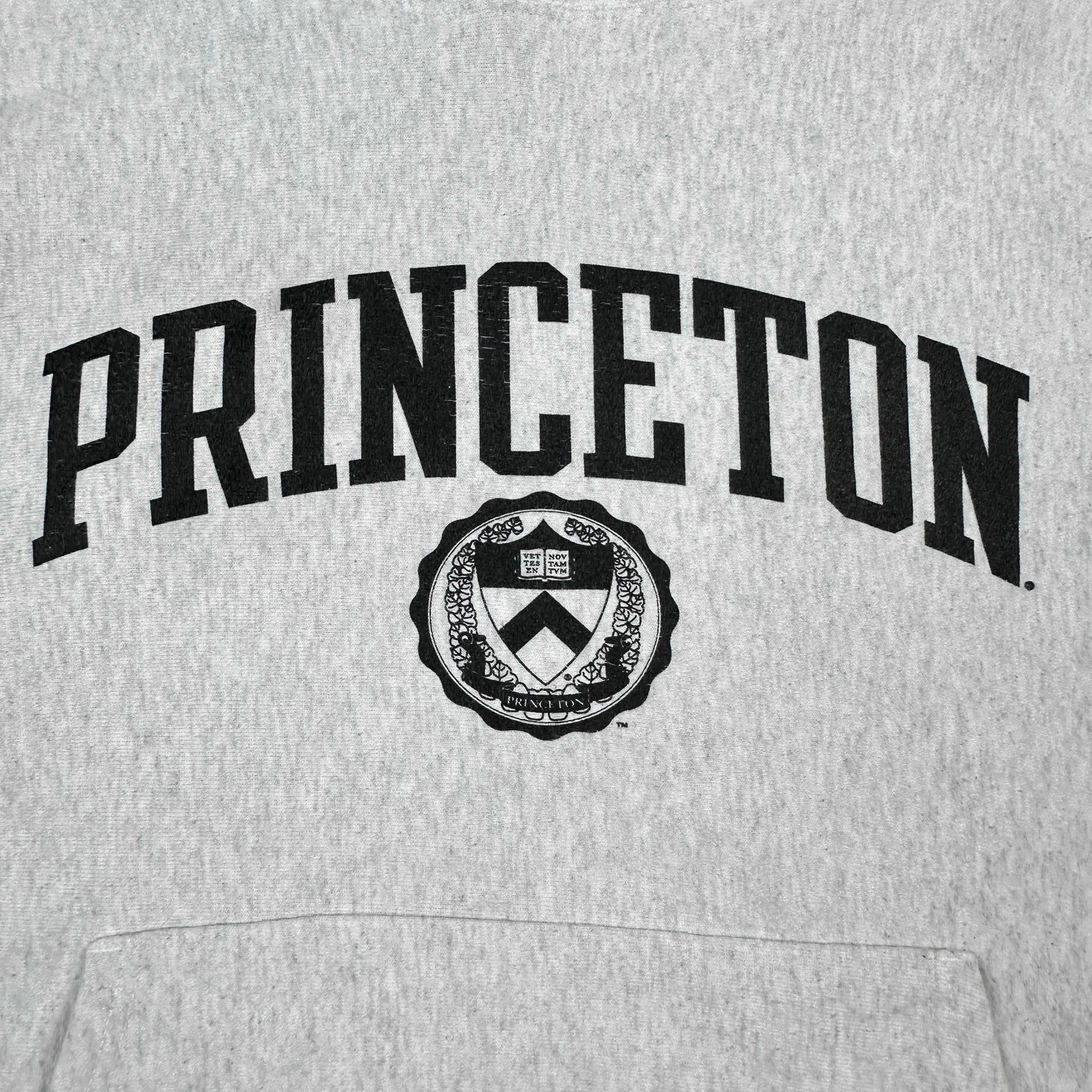 Princeton University Gray Champion Reverse Weave Hoodie