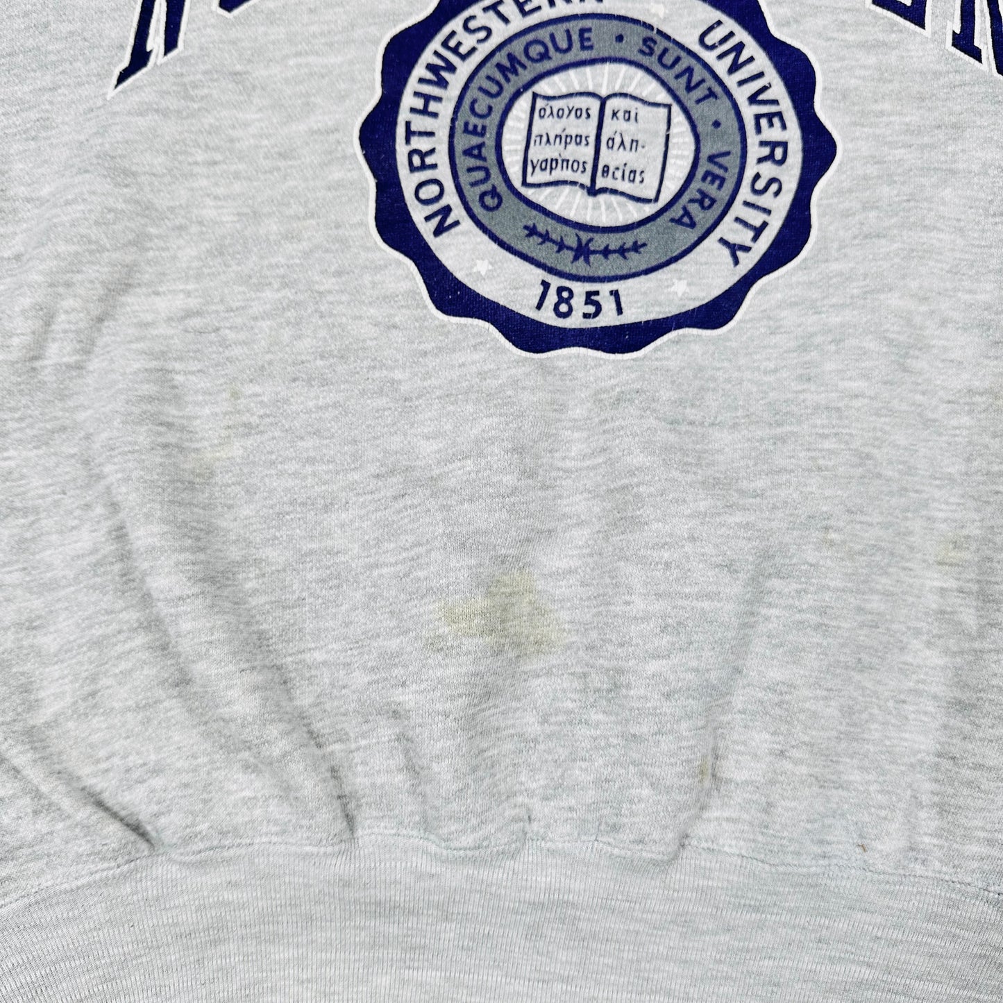 Vintage Northwestern University Gray Galt Sand Sweatshirt