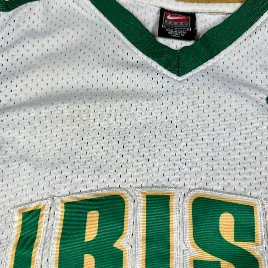 Lebron James Vintage Nike Jersey Irish High School