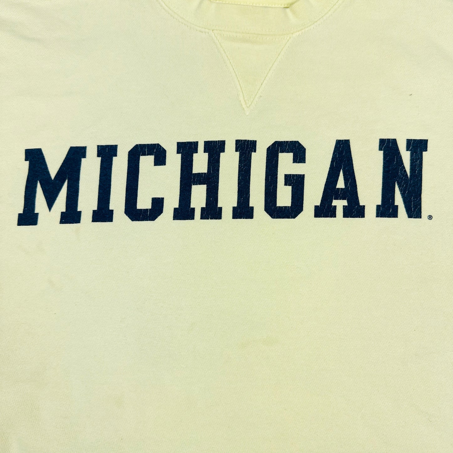 University of Michigan Sweatshirt Cropped Gear