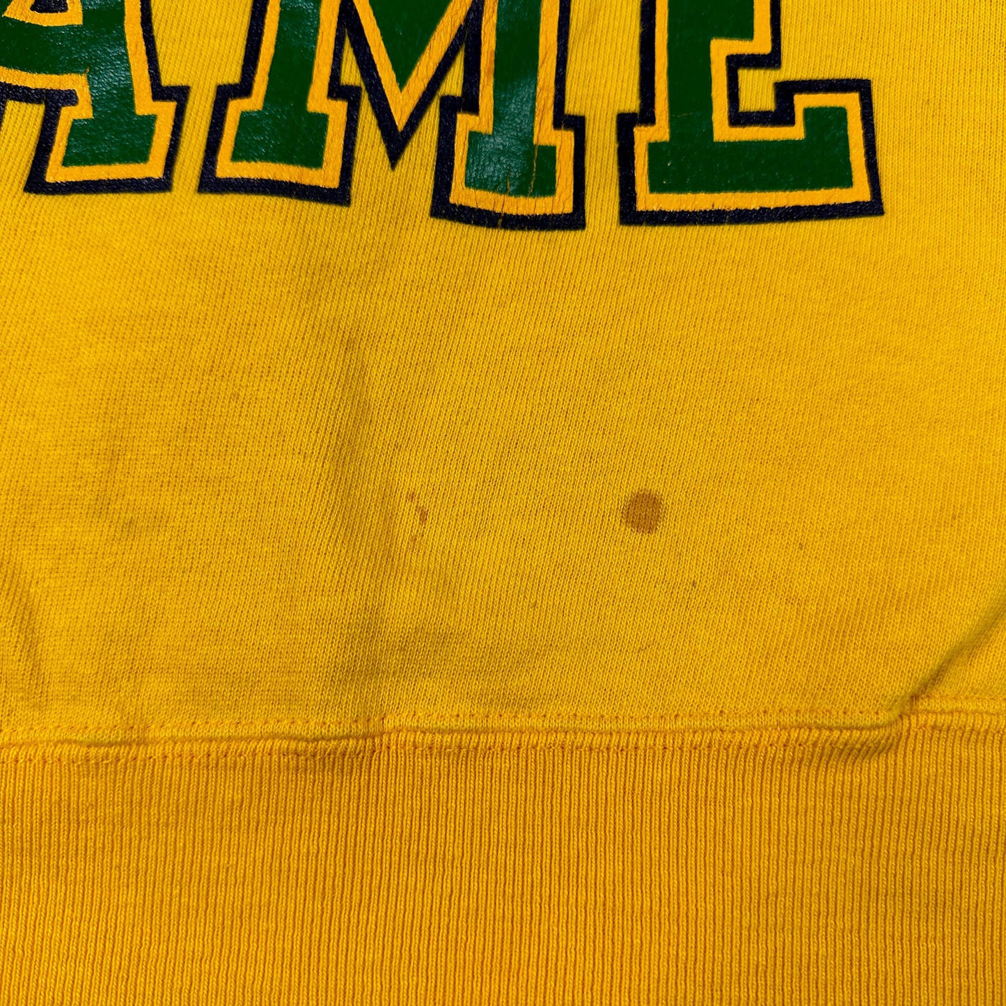 Vintage University of Notre Dame Sweatshirt Champion