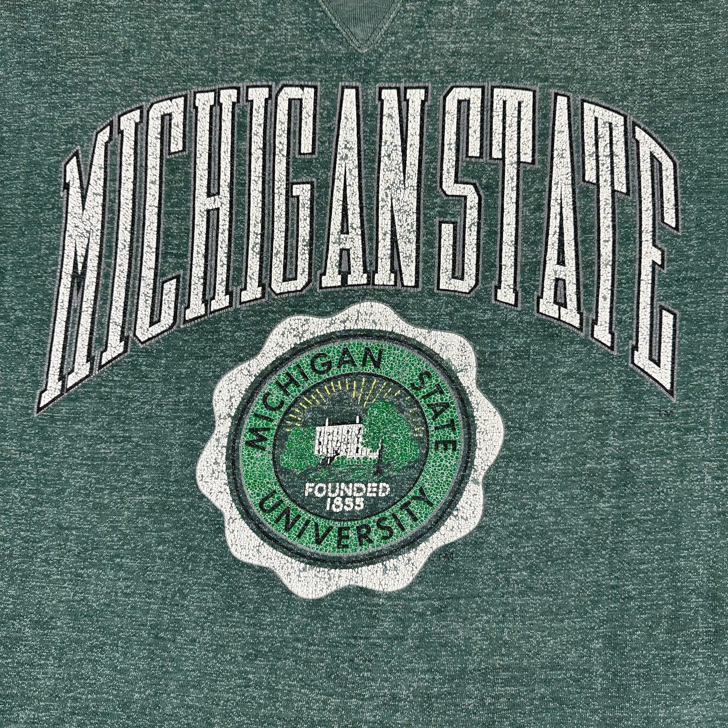 Vintage Michigan State University Sweatshirt Galt Sand