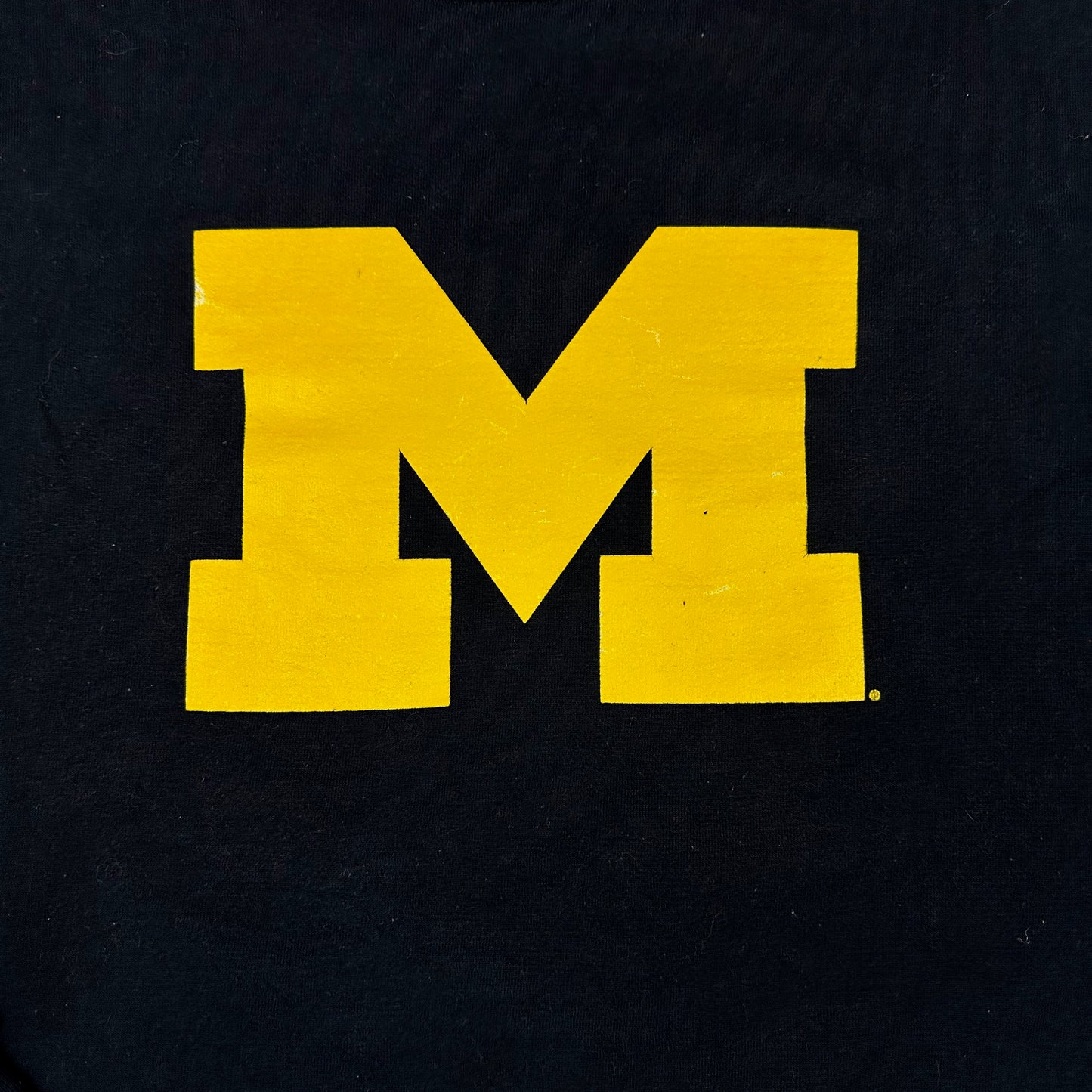 University of Michigan Sweatshirt Champion Dark Blue