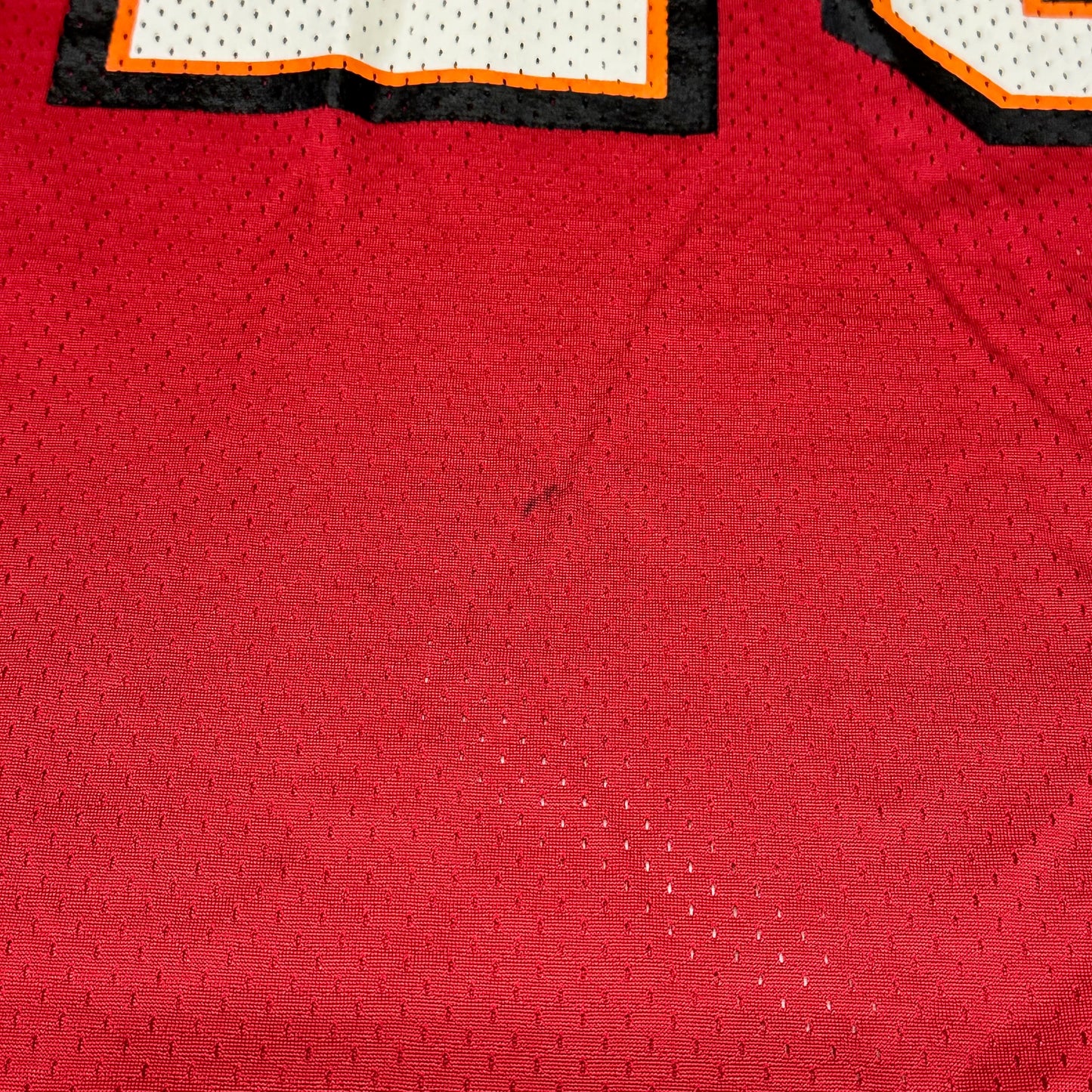 Warrick Dunn Tampa Bay Buccaneers Jersey Vintage