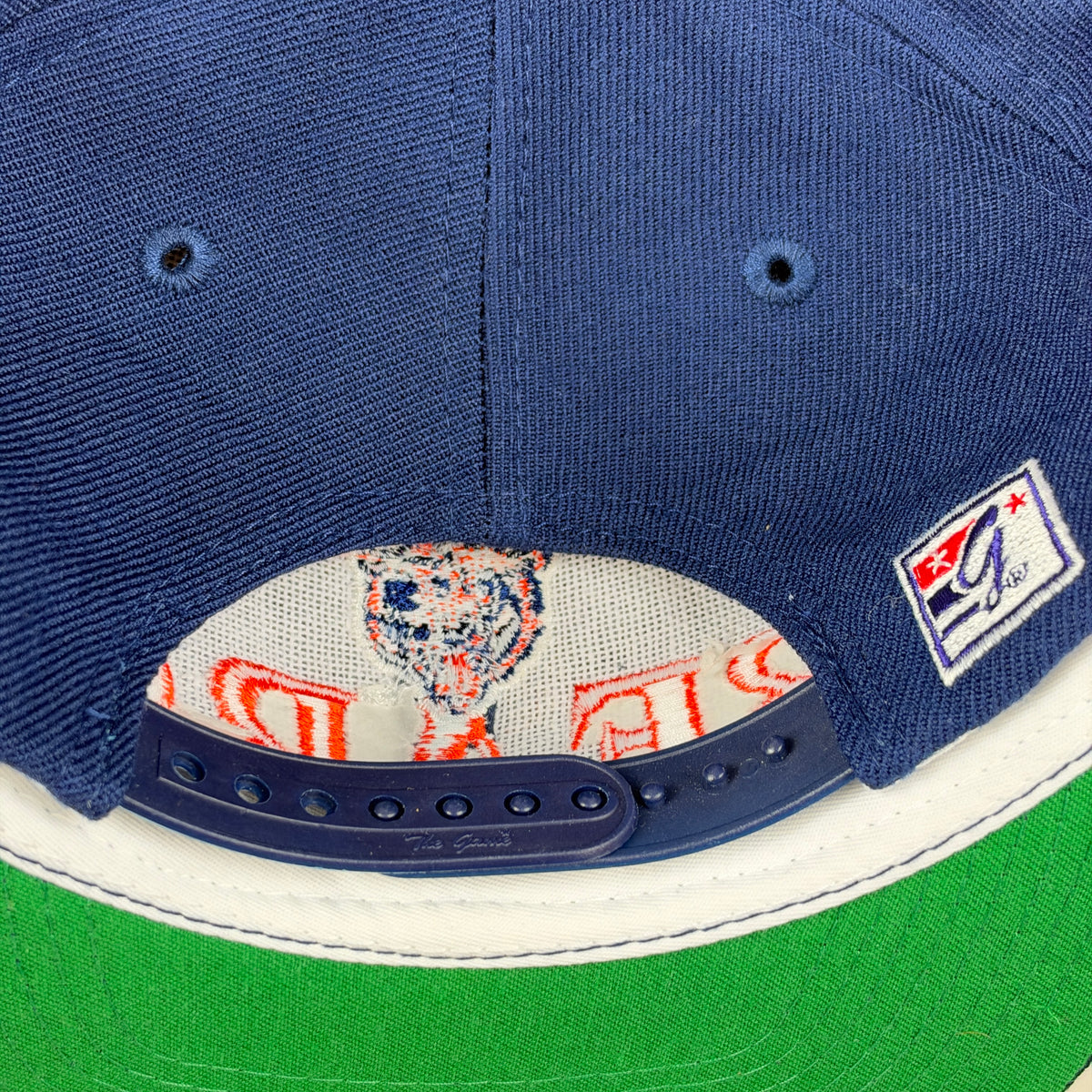 Vintage Chicago Bears Hat Snapback Team NFL Collection