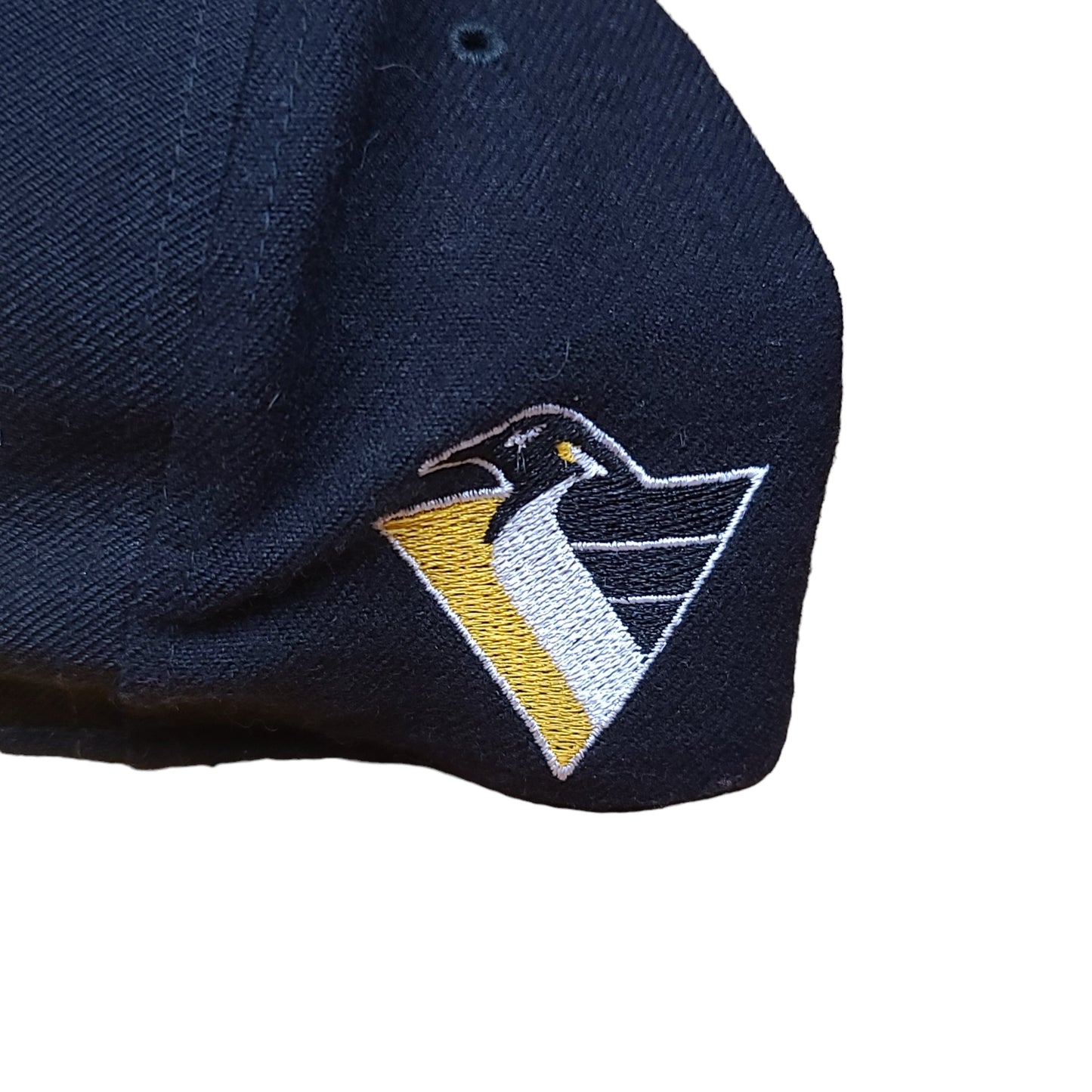 Vintage Pittsburgh Penguins Hat Wool Starter