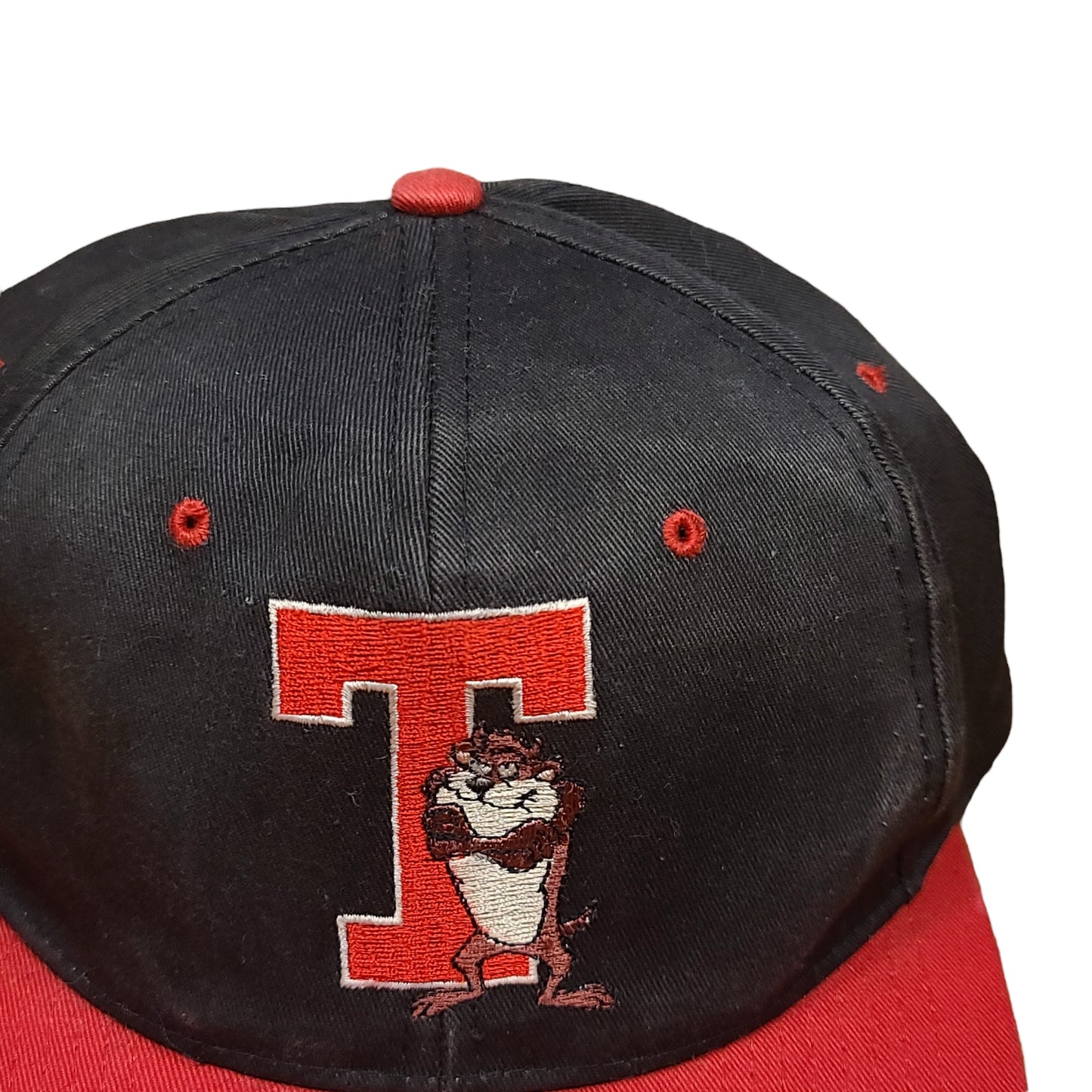 Vintage Tasmanian Devil Looney Tunes Snap Back Hat