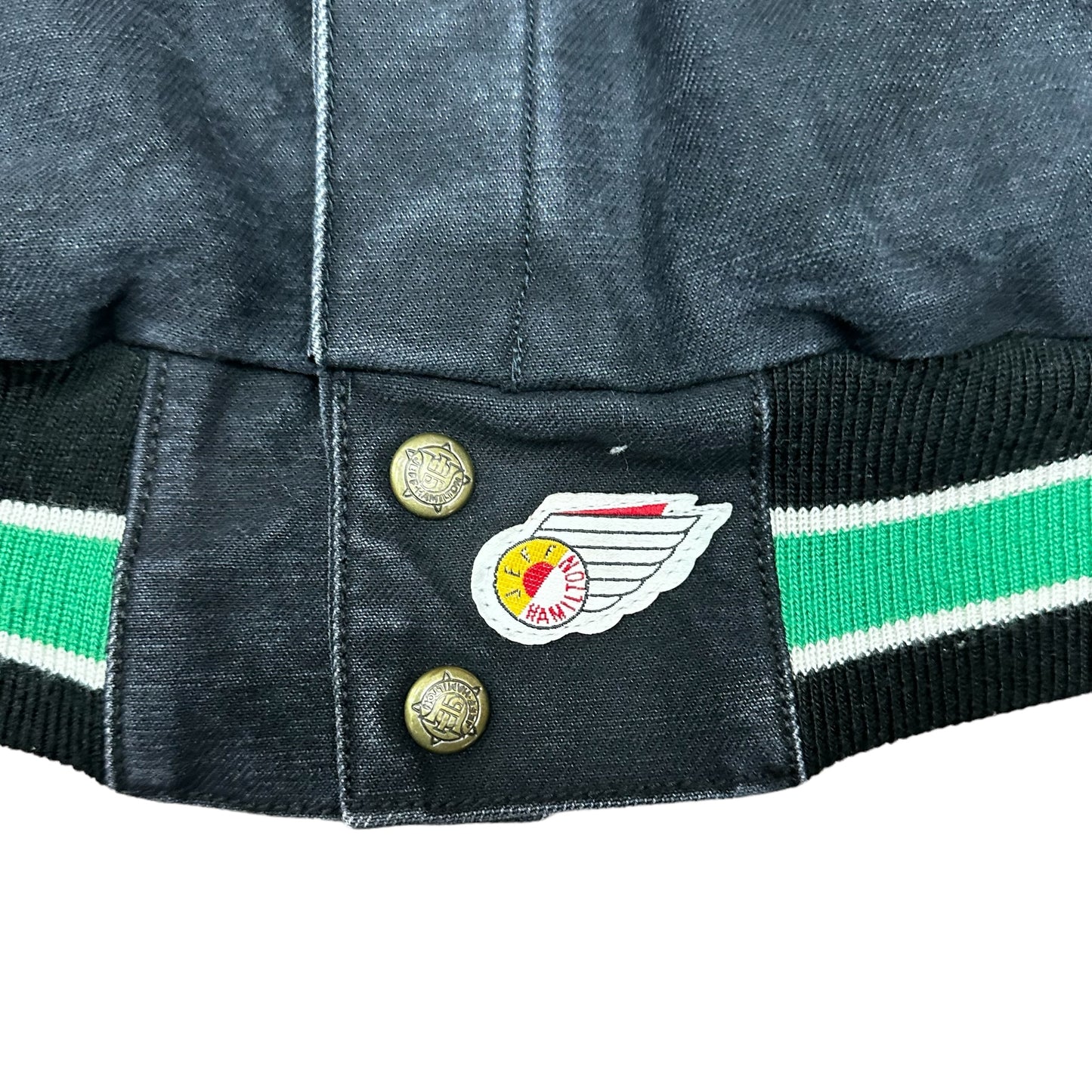 Vintage Boston Celtics Jeff Hamilton Jacket