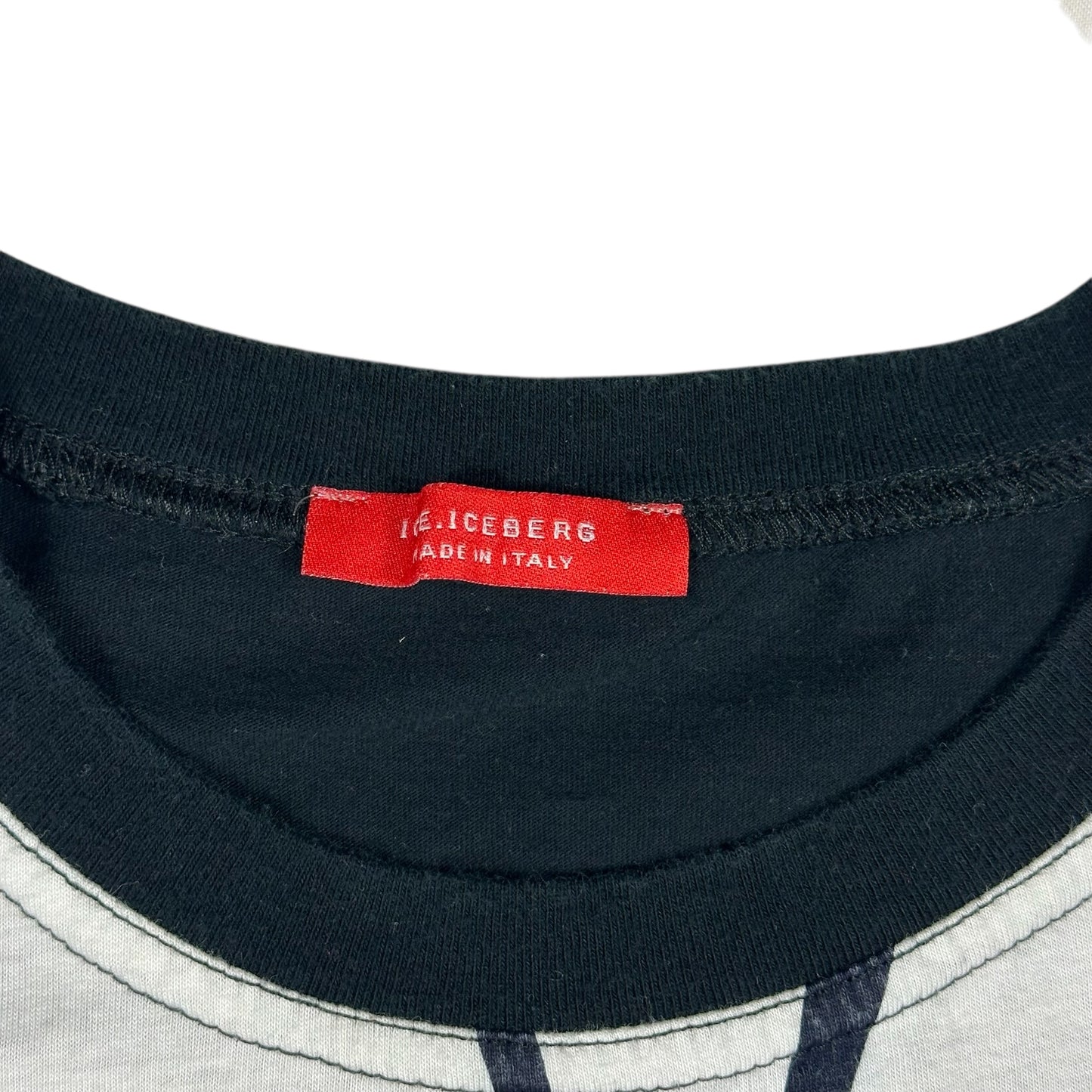 Donald Duck Vintage Iceberg History Shirt