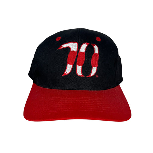 Vintage Chicago Bulls Hat 70 Wins Horns