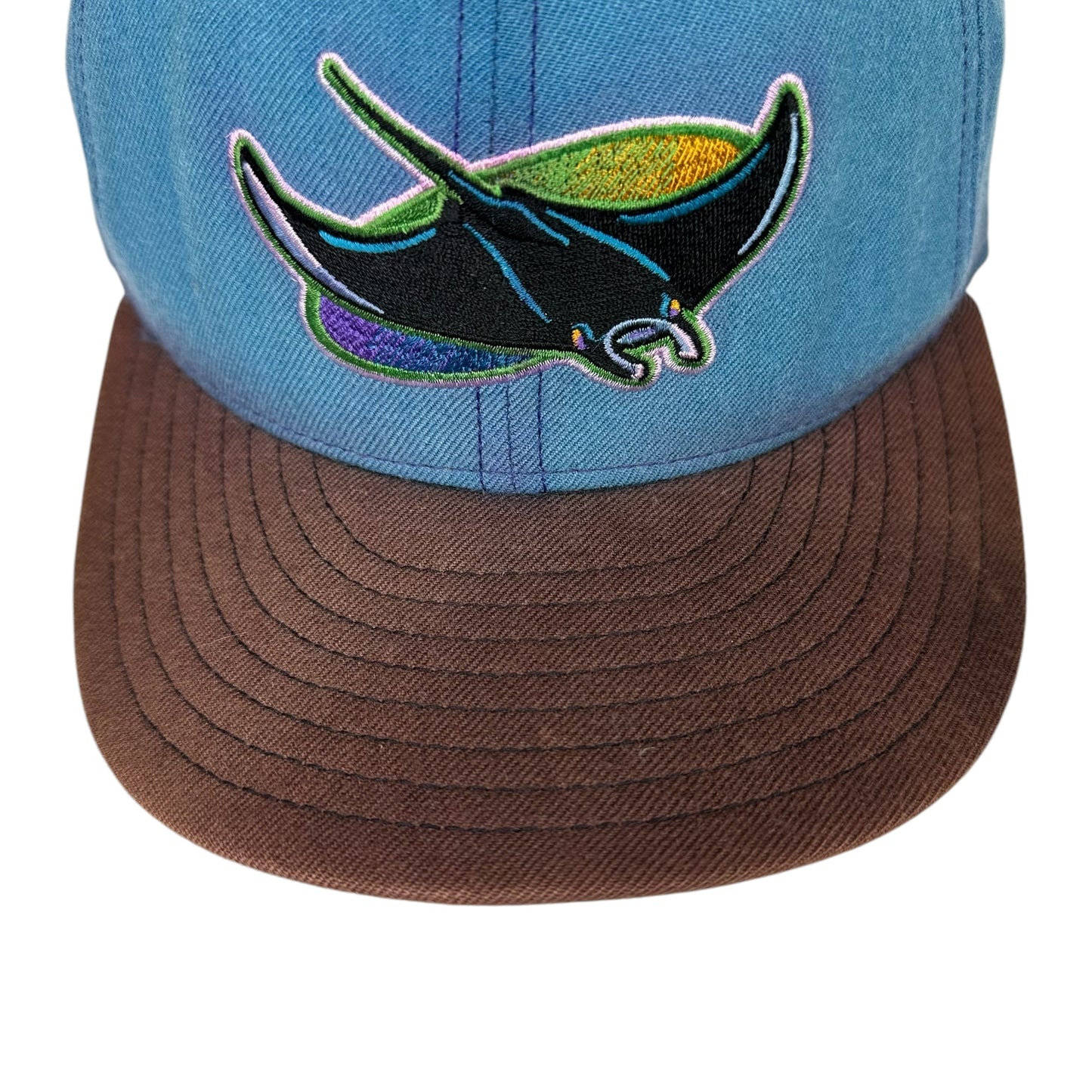 Vintage Tampa Bay Devil Rays Hat Wool New Era Fitted