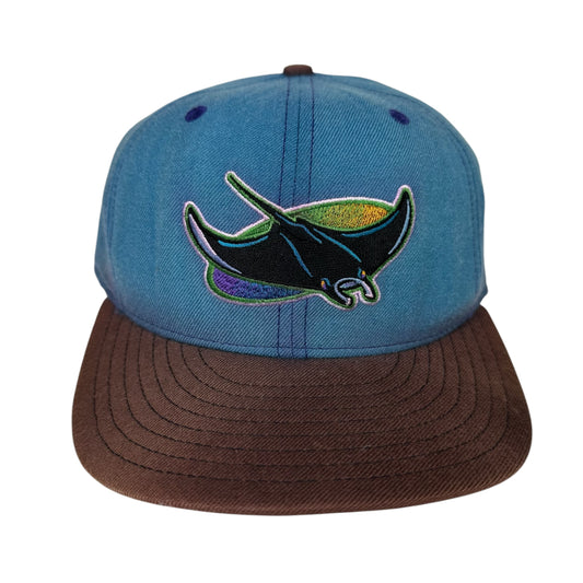 Vintage Tampa Bay Devil Rays Hat Wool New Era Fitted