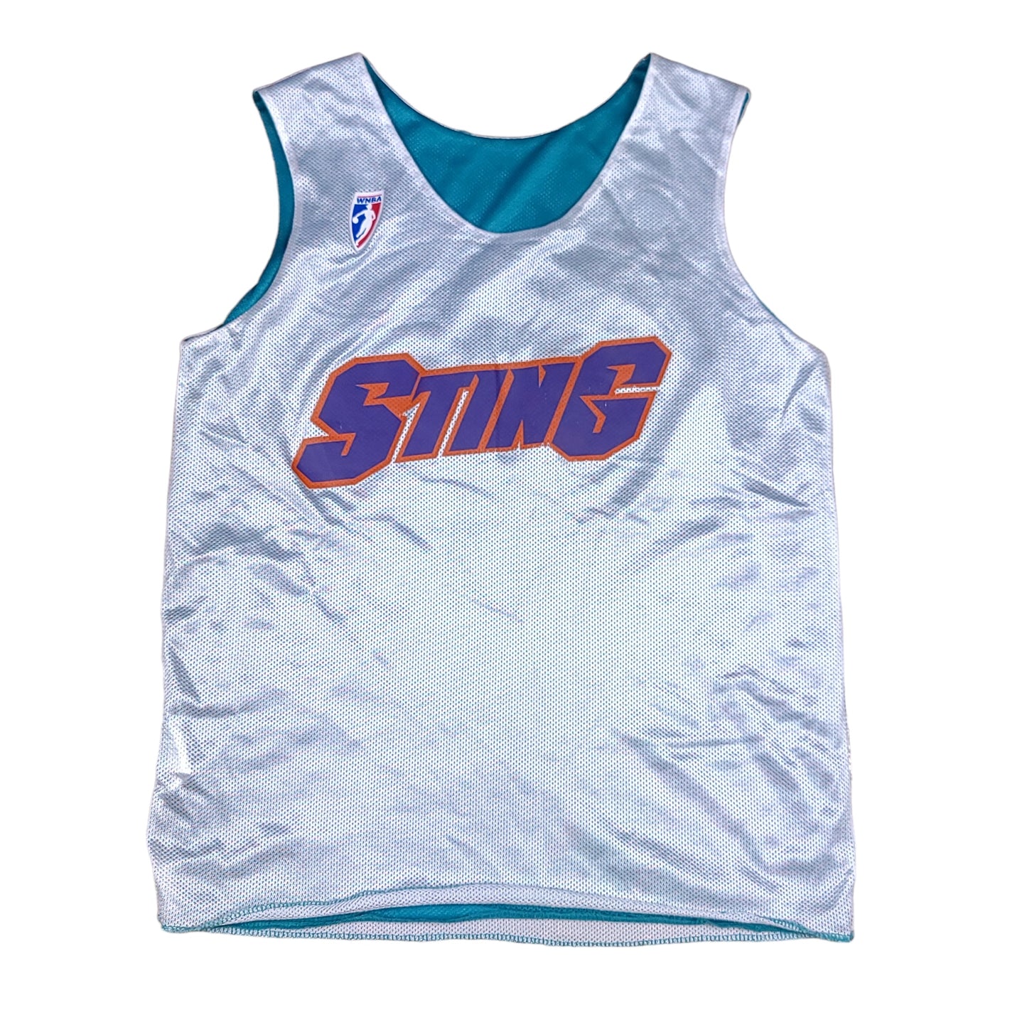 Vintage Charlotte Sting Jersey Reversible Practice