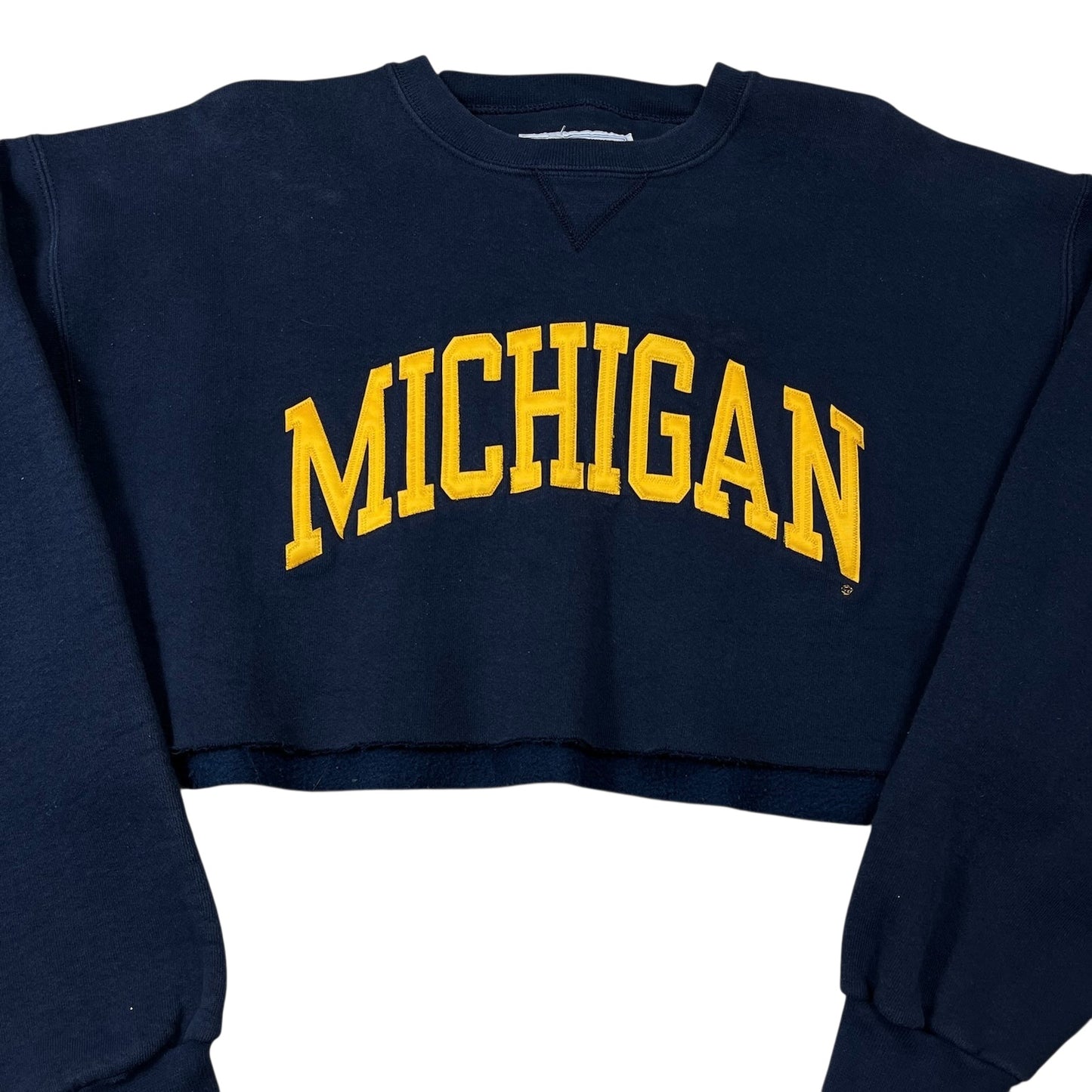 Vintage University of Michigan Sweatshirt Spellout Cropped