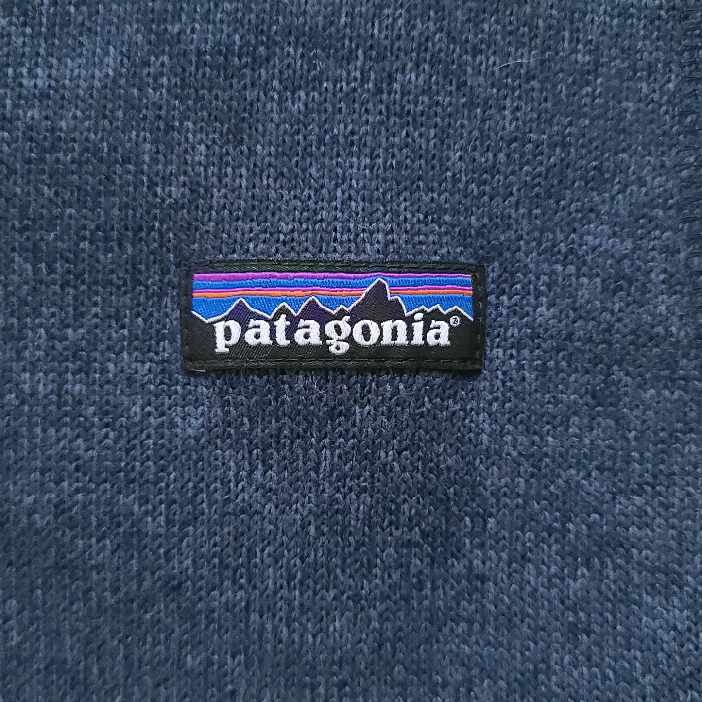 Patagonia Blue Fleece Vest