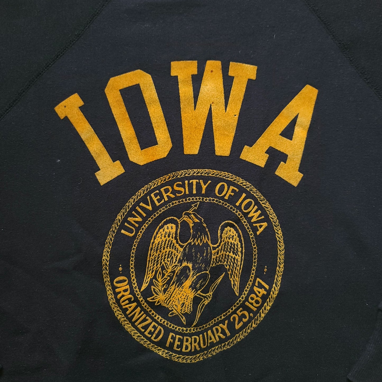 Vintage Iowa Champion Black Sweatshirt