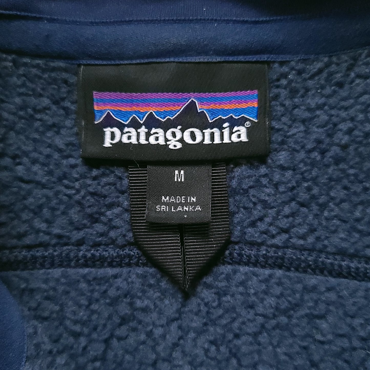 Patagonia Blue Fleece Vest